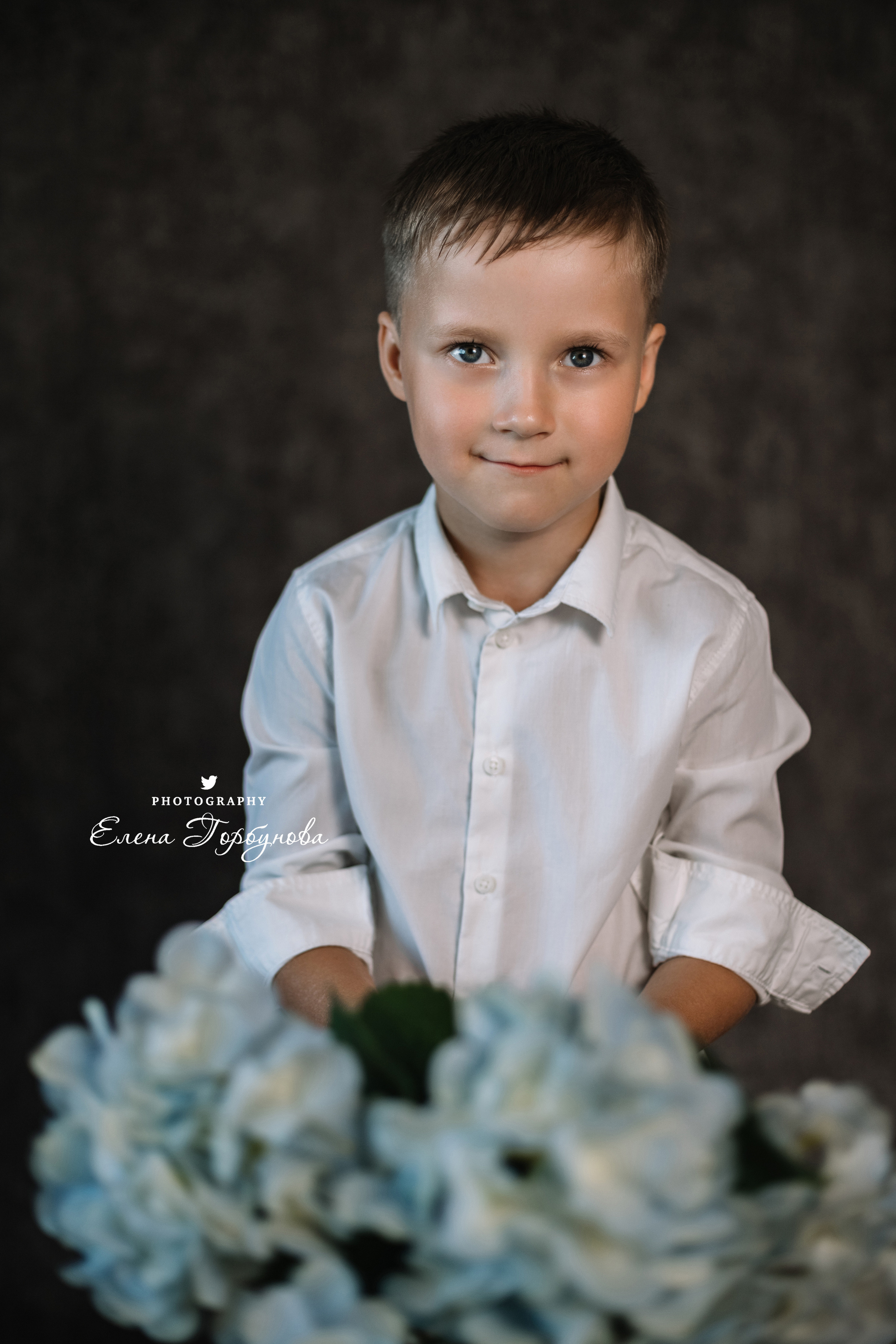 Мальчик позирует на стуле с цветами голубая гортензия. детская фотосессия, детский портрет, фотосессия в садике, фотосессия в студии, детский фотограф пермь Елена Горбунова.