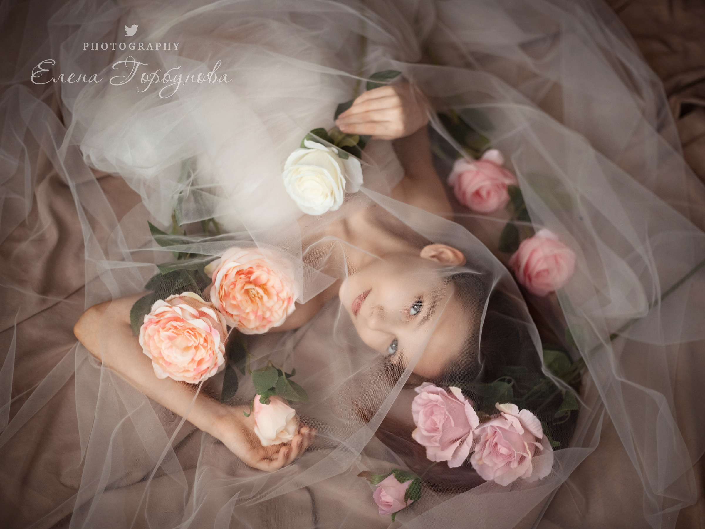 девочка подросток в студии в фатине с розами с цветами позируем. нежная детская фотосессия 