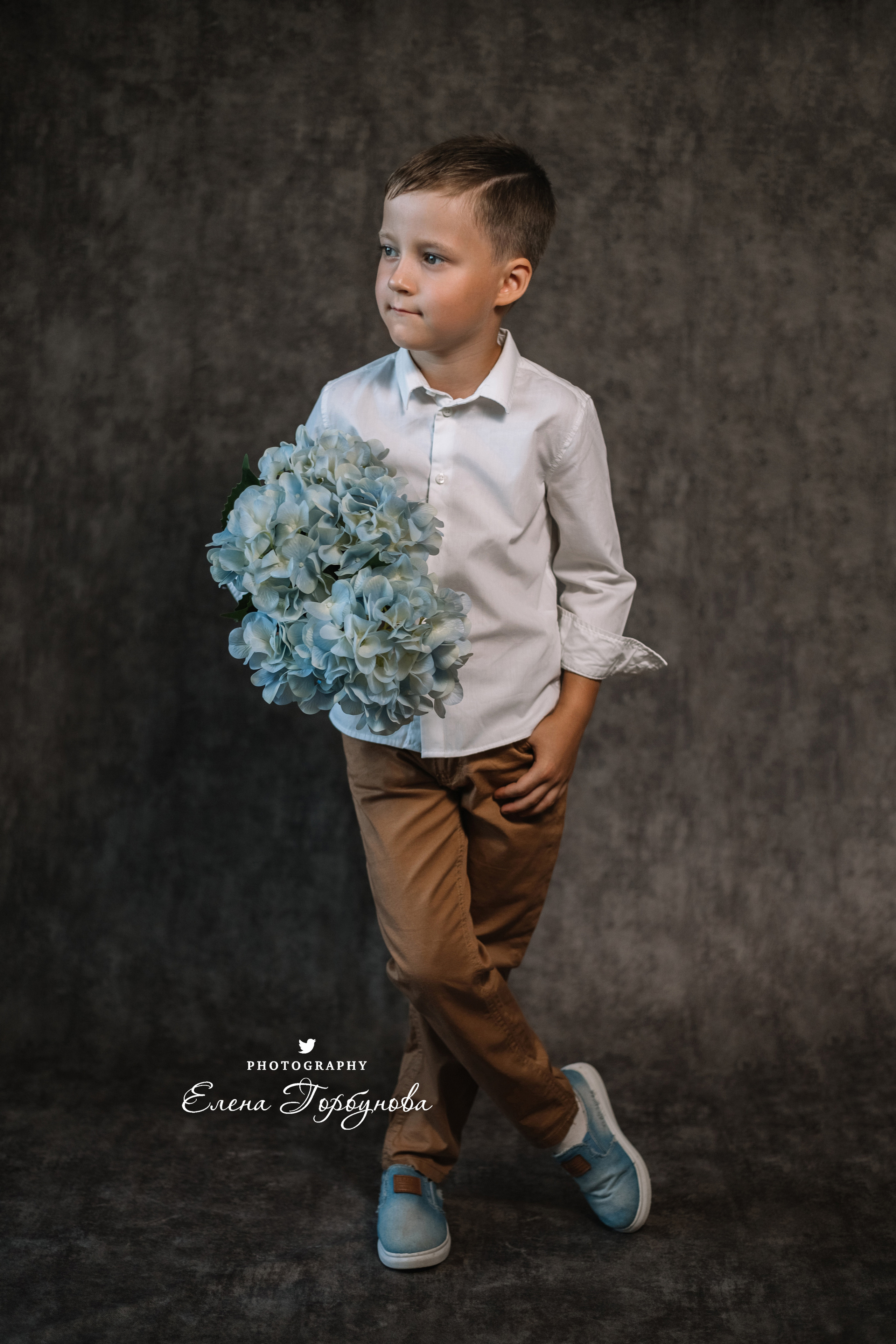 Мальчик позирует на стуле с цветами голубая гортензия. детская фотосессия, детский портрет, фотосессия в садике, фотосессия в студии, детский фотограф пермь Елена Горбунова.