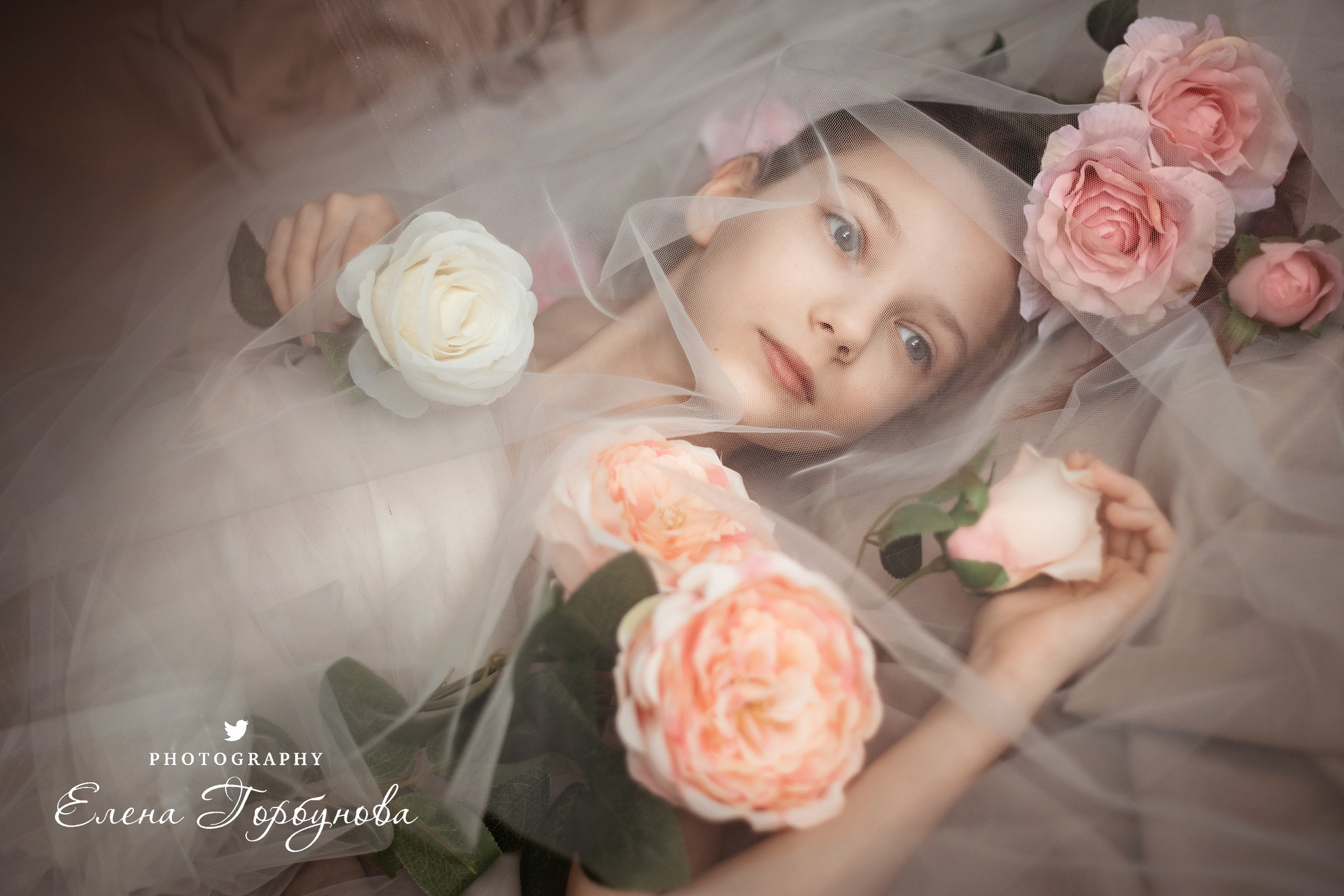 девочка подросток в студии в фатине с розами с цветами позируем. нежная детская фотосессия 