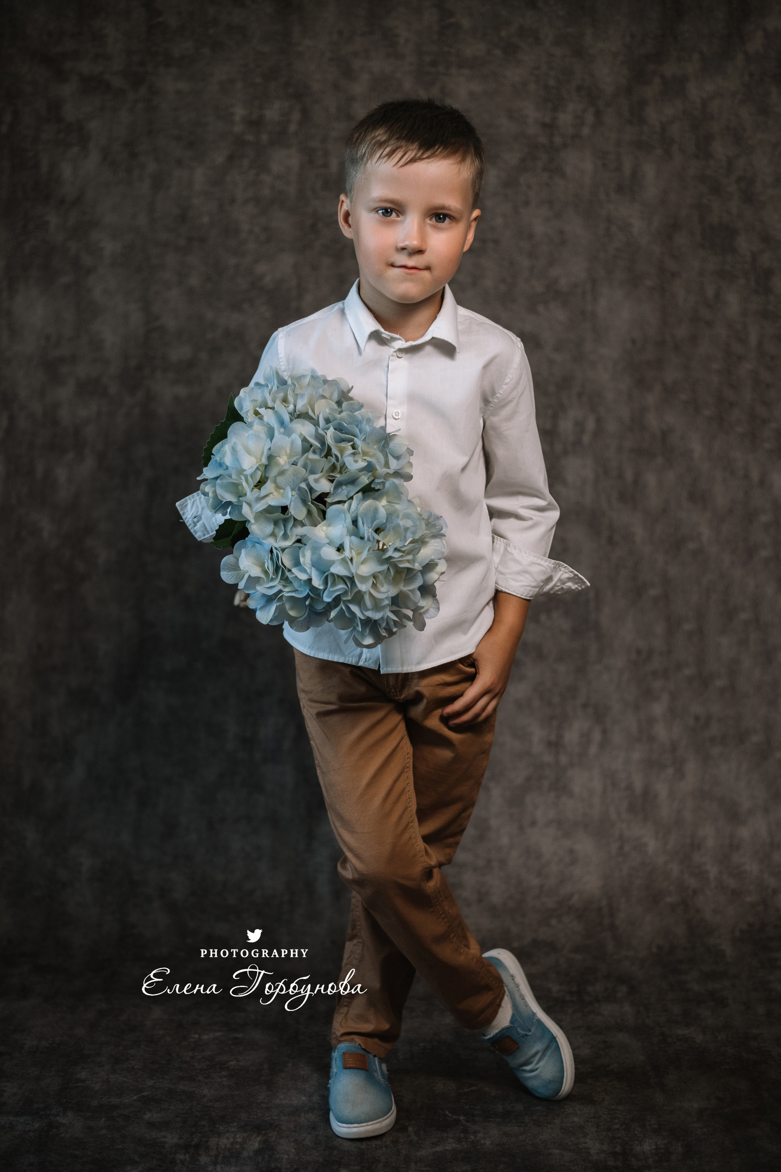 Мальчик позирует на стуле с цветами голубая гортензия. детская фотосессия, детский портрет, фотосессия в садике, фотосессия в студии, детский фотограф пермь Елена Горбунова.
