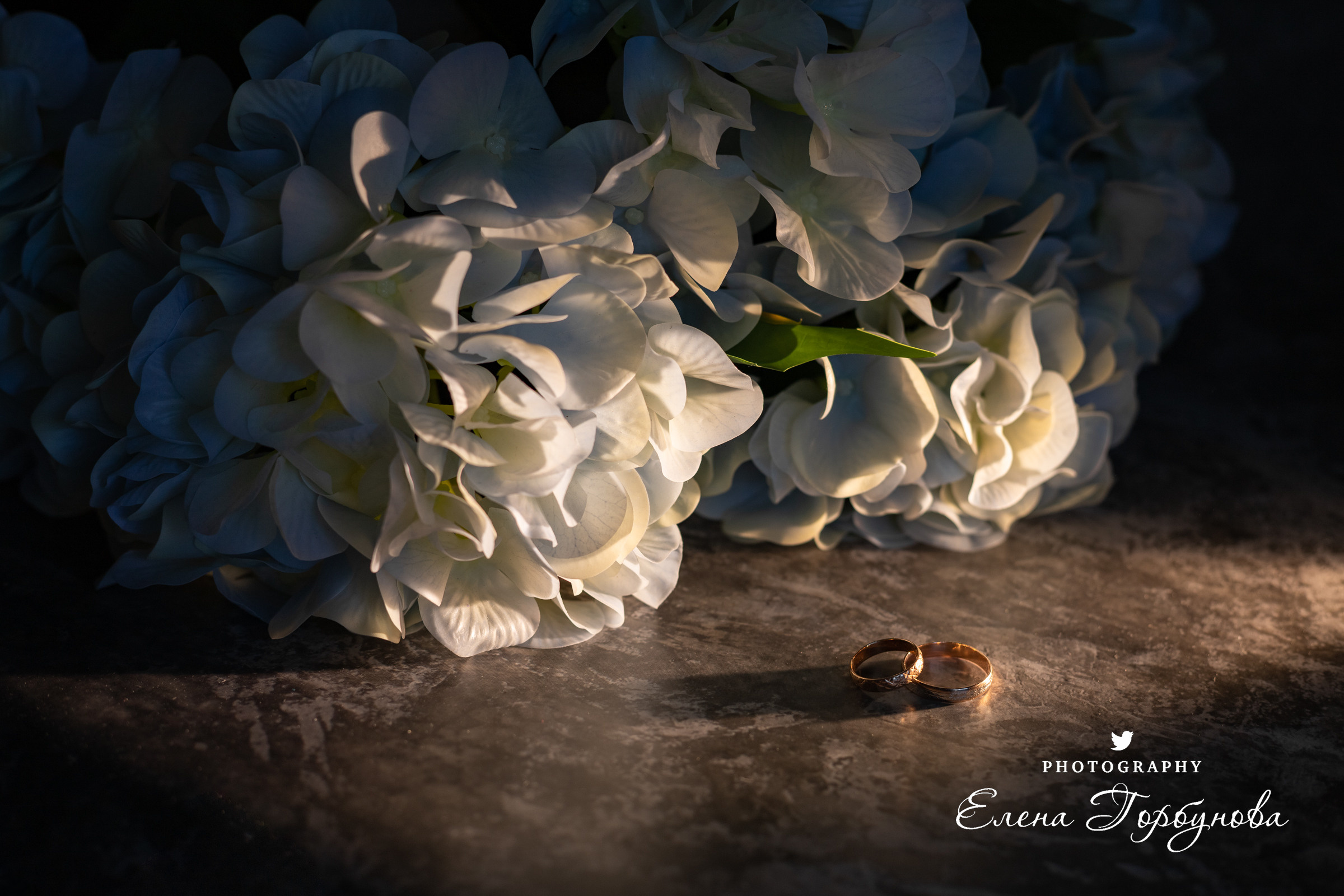 кольца обручальные на фоне гортензии на фоне цветов. с подсветкой