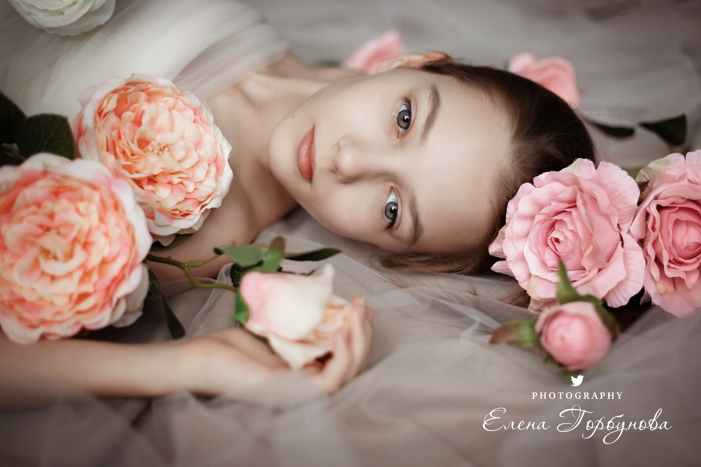девочка подросток в студии в фатине с розами с цветами позируем. нежная детская фотосессия 