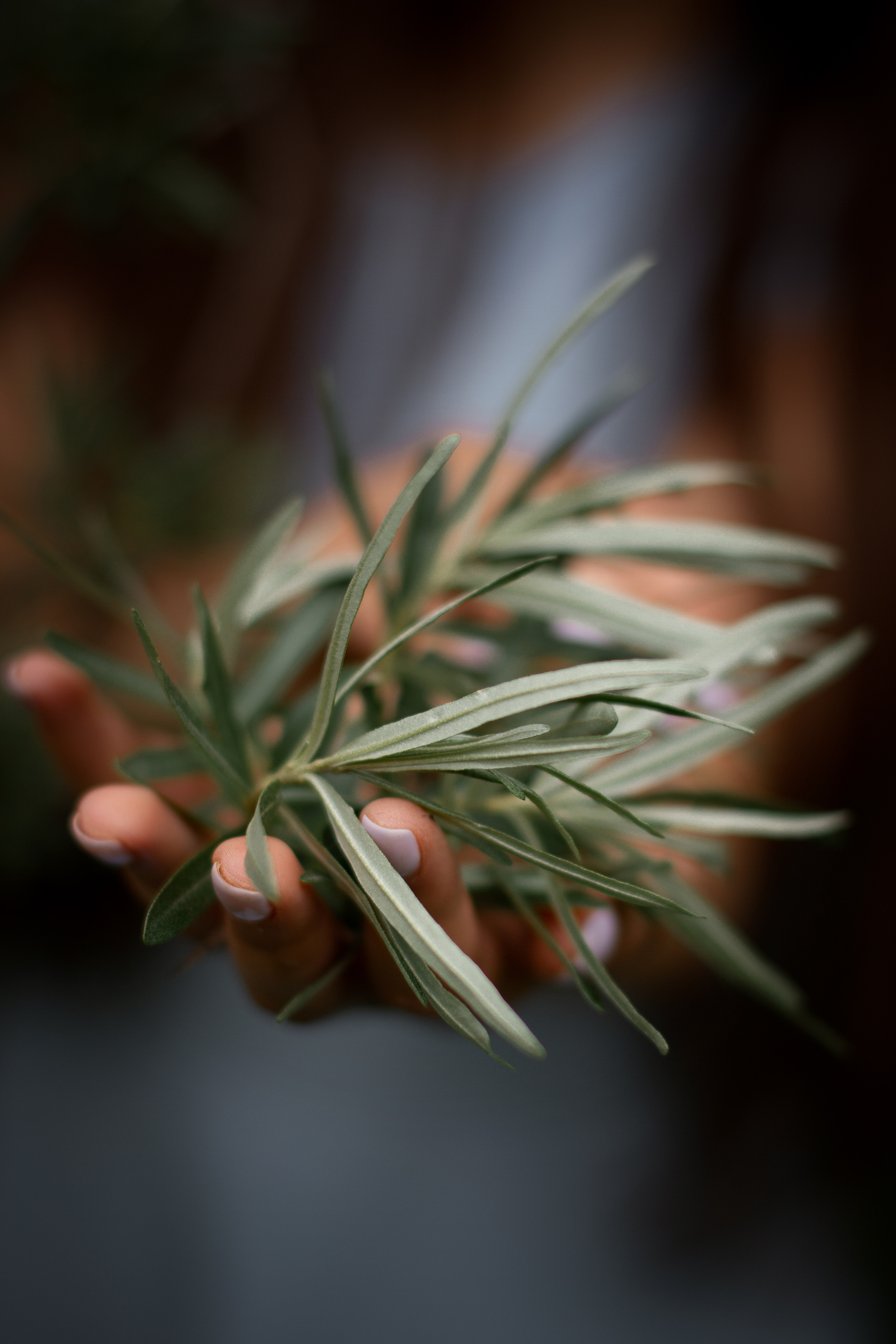 Юлия. Фотограф Мария Щеголькова. Чувственный женский портрет