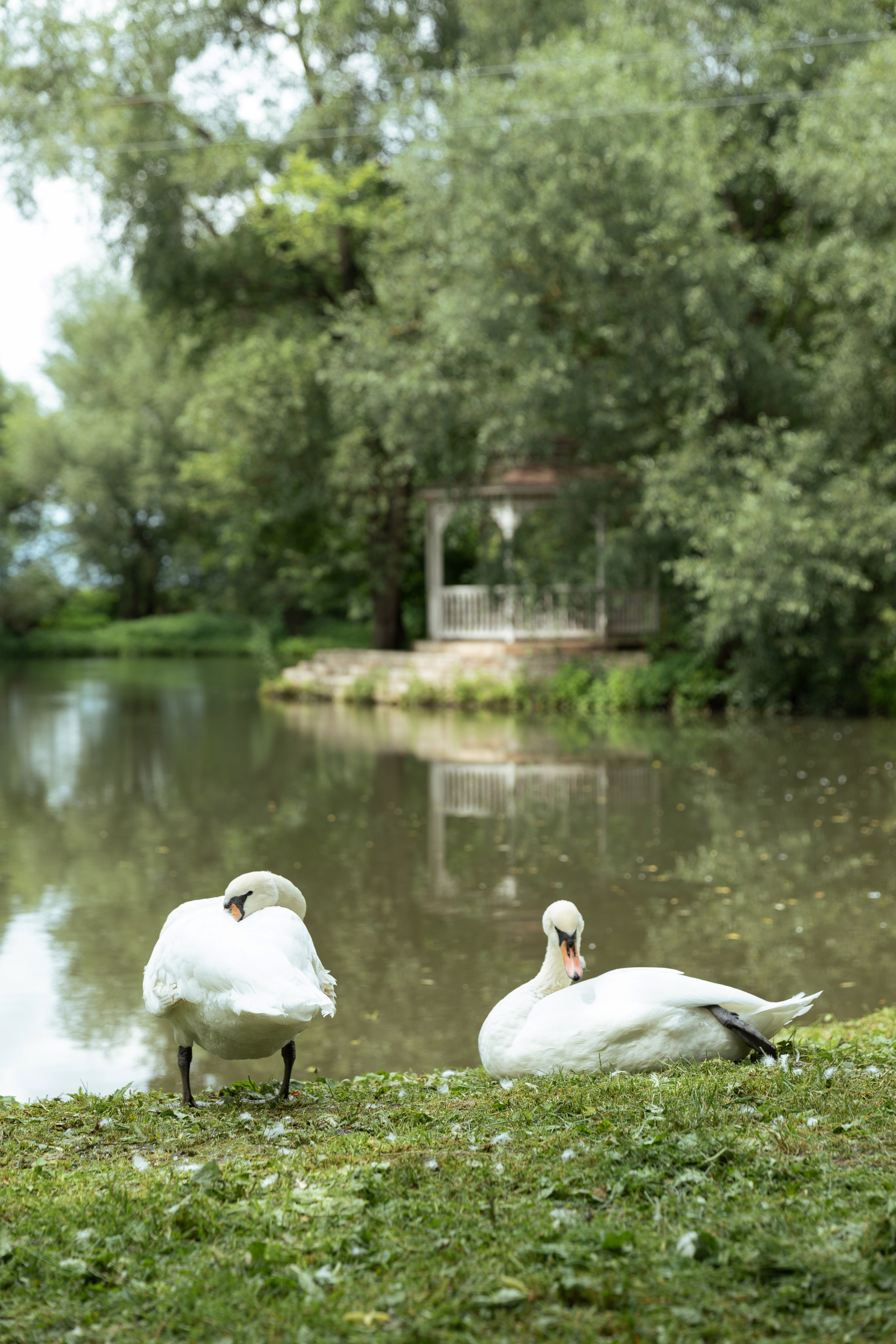 Олеся и Дмитрий. Фотограф Мария Щеголькова. Чувственный женский портрет