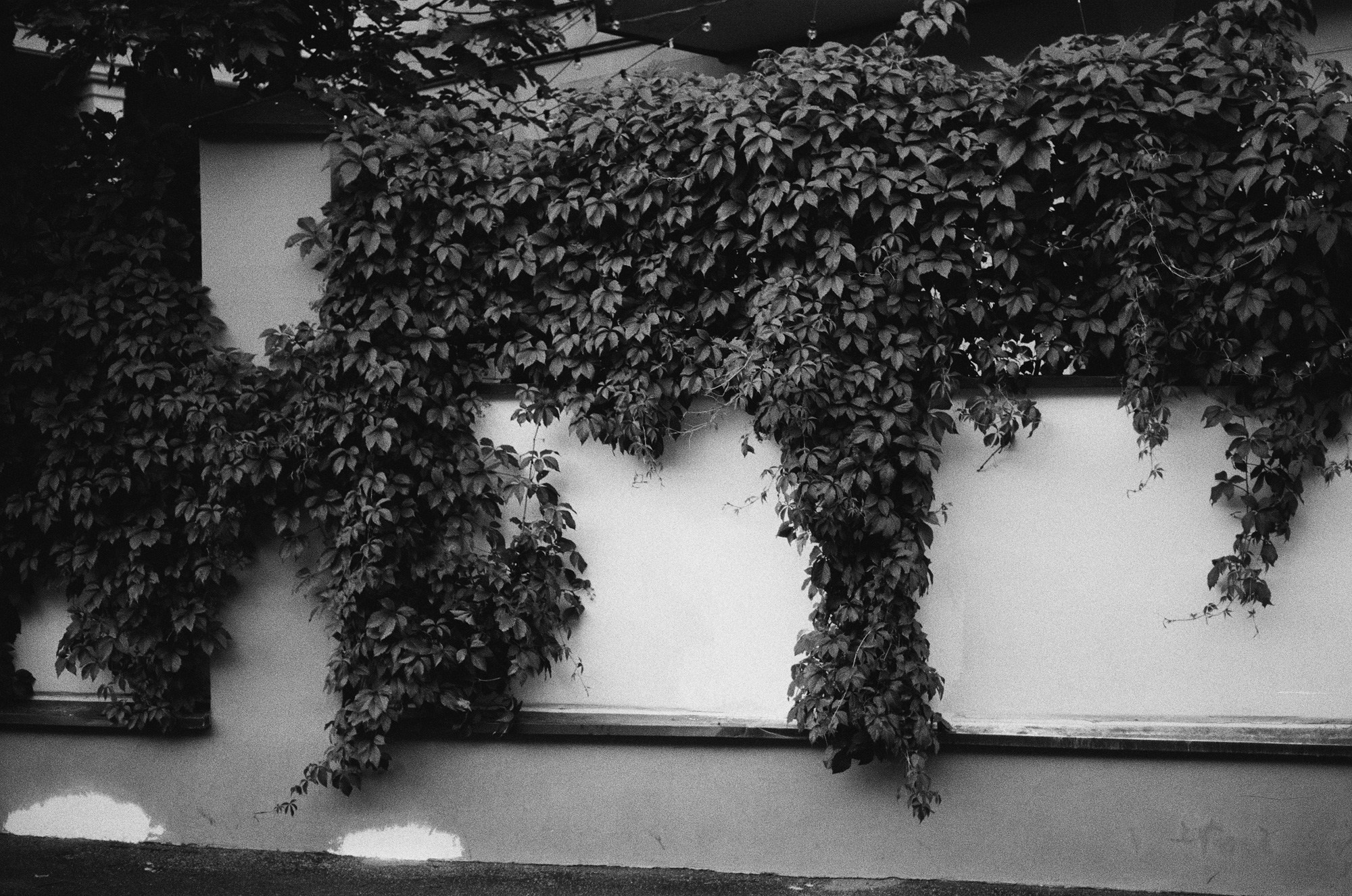 Нескучный сад и Остоженка. Другой Павел Поцелуев. Фотограф в 2025 году