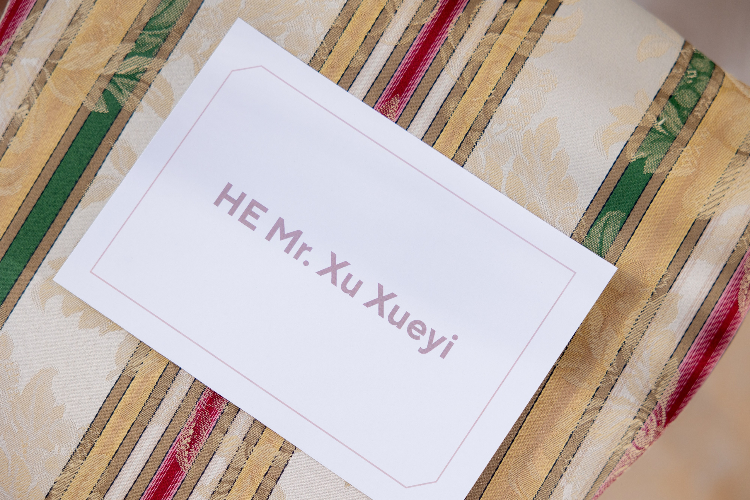 BRICS Russia 2024. Фотограф Москва Людмила Белова