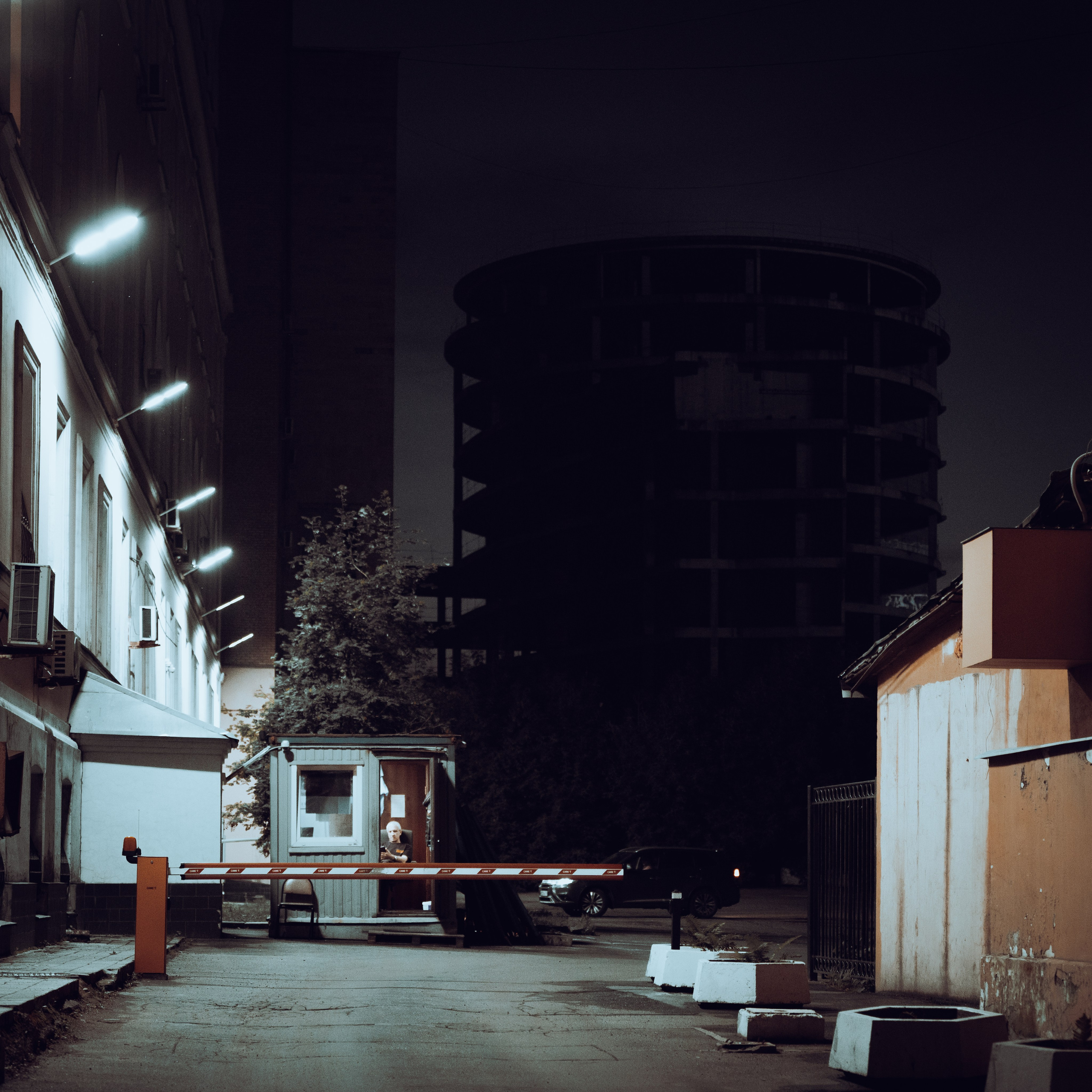 Жанровая фотография. Фотограф и оператор в Москве Елизавета Коргалидзе