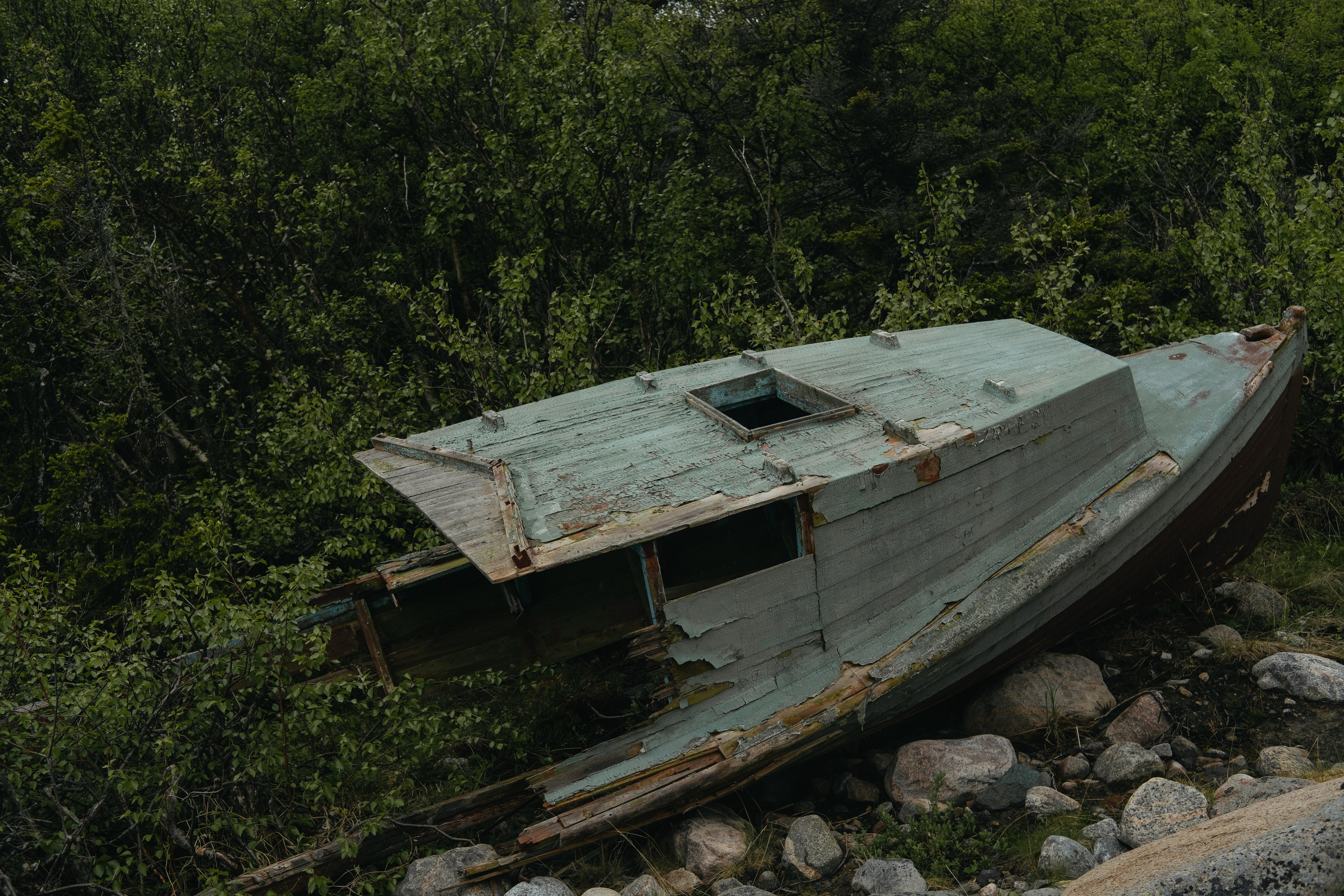 Карелия и Соловецкие острова. Обо мне