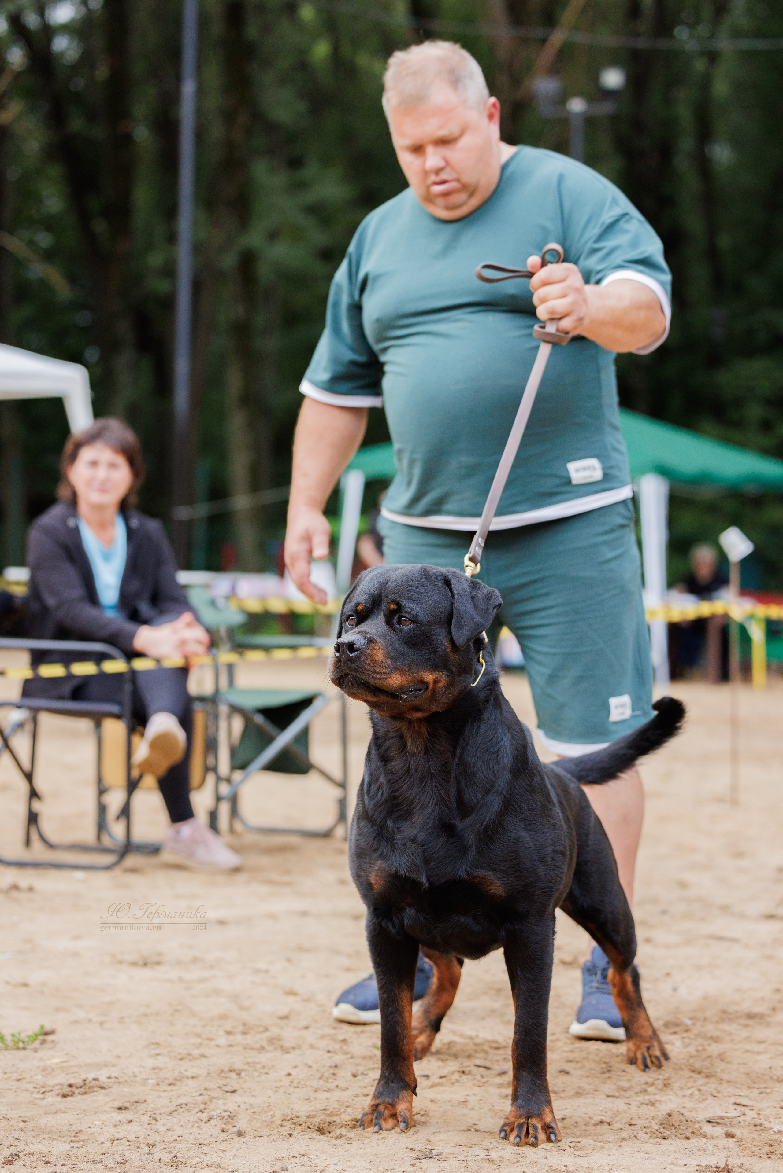 Рязань-Ховрино 10-11.08.2024 3хмоно ротвейлеров. Фотограф-анималист Юлия Германика