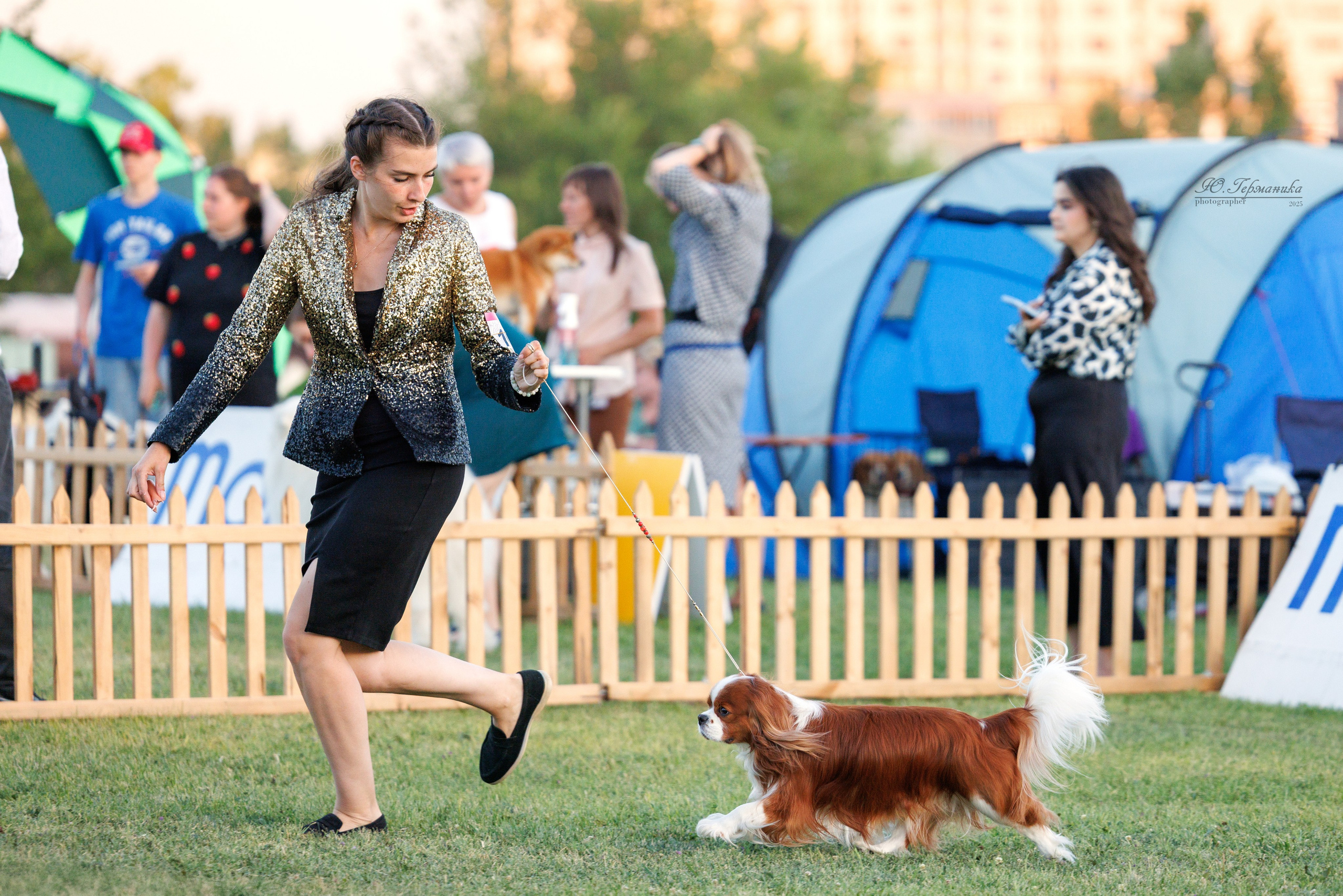 Ереван 3хCACIB 23-25.06.2025. Фотограф-анималист Юлия Германика