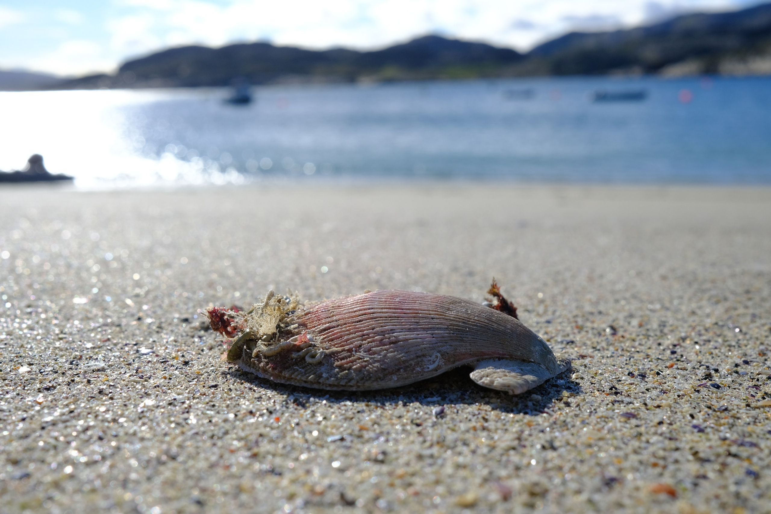 Полуостров Немецкий. Пейзажи Крайнего Севера. Баренцево море, Рыбачий, Средний, Немецкий