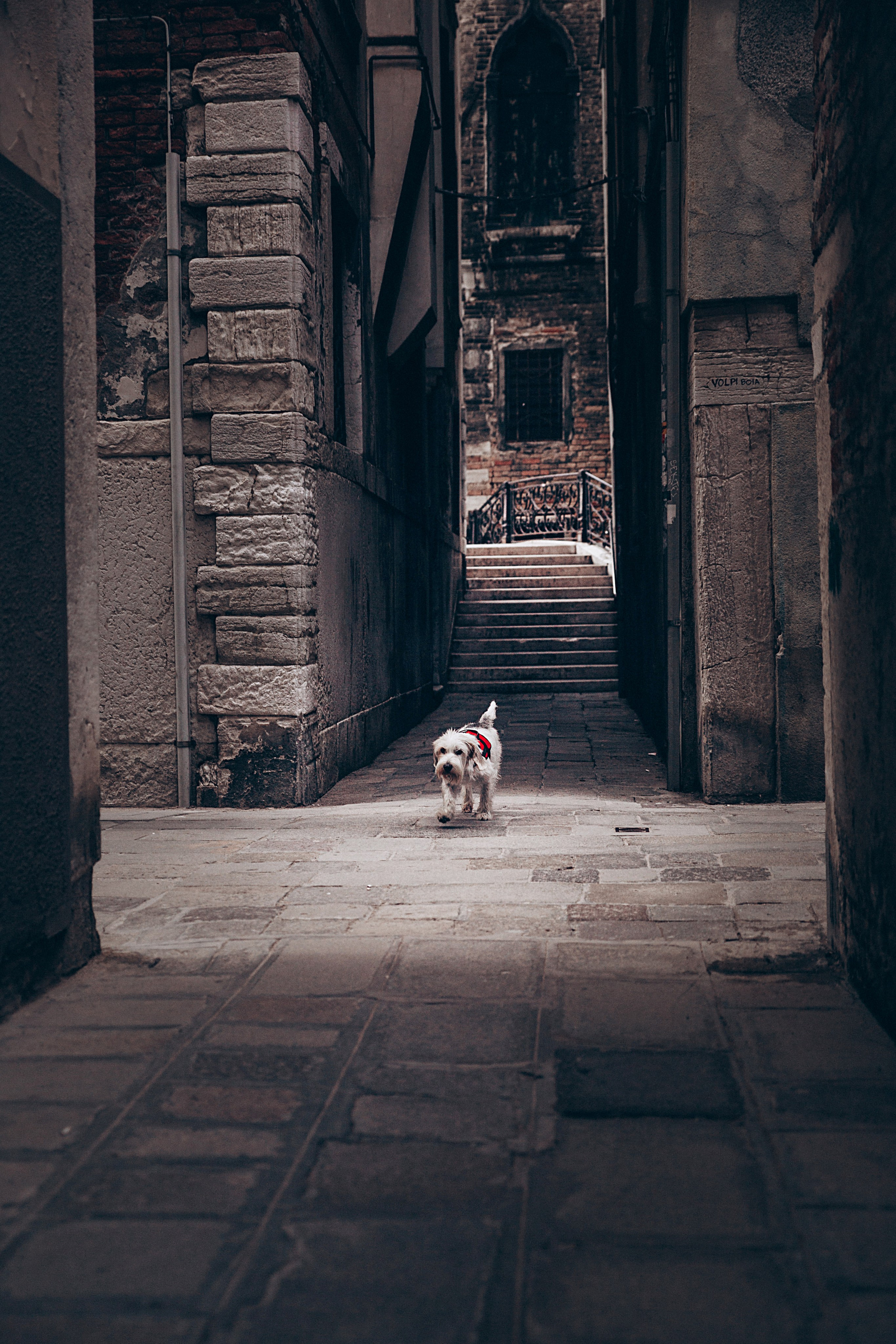 Италия. Репортажный и детский фотограф в Минске