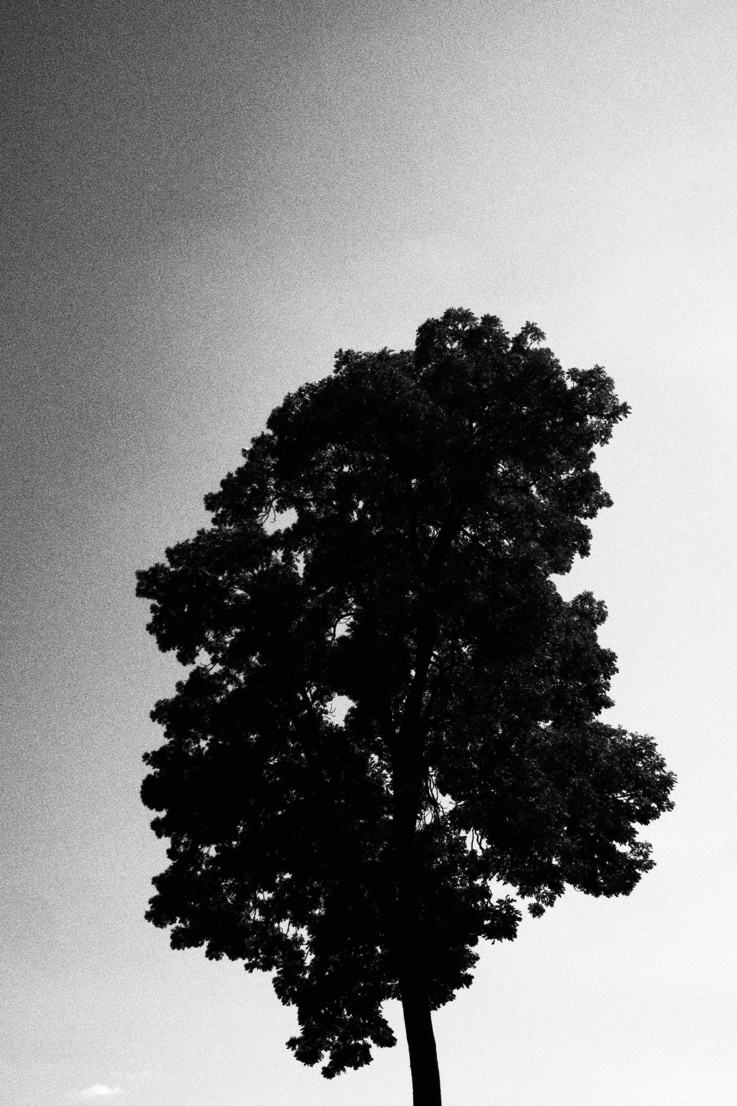 Black and white diary