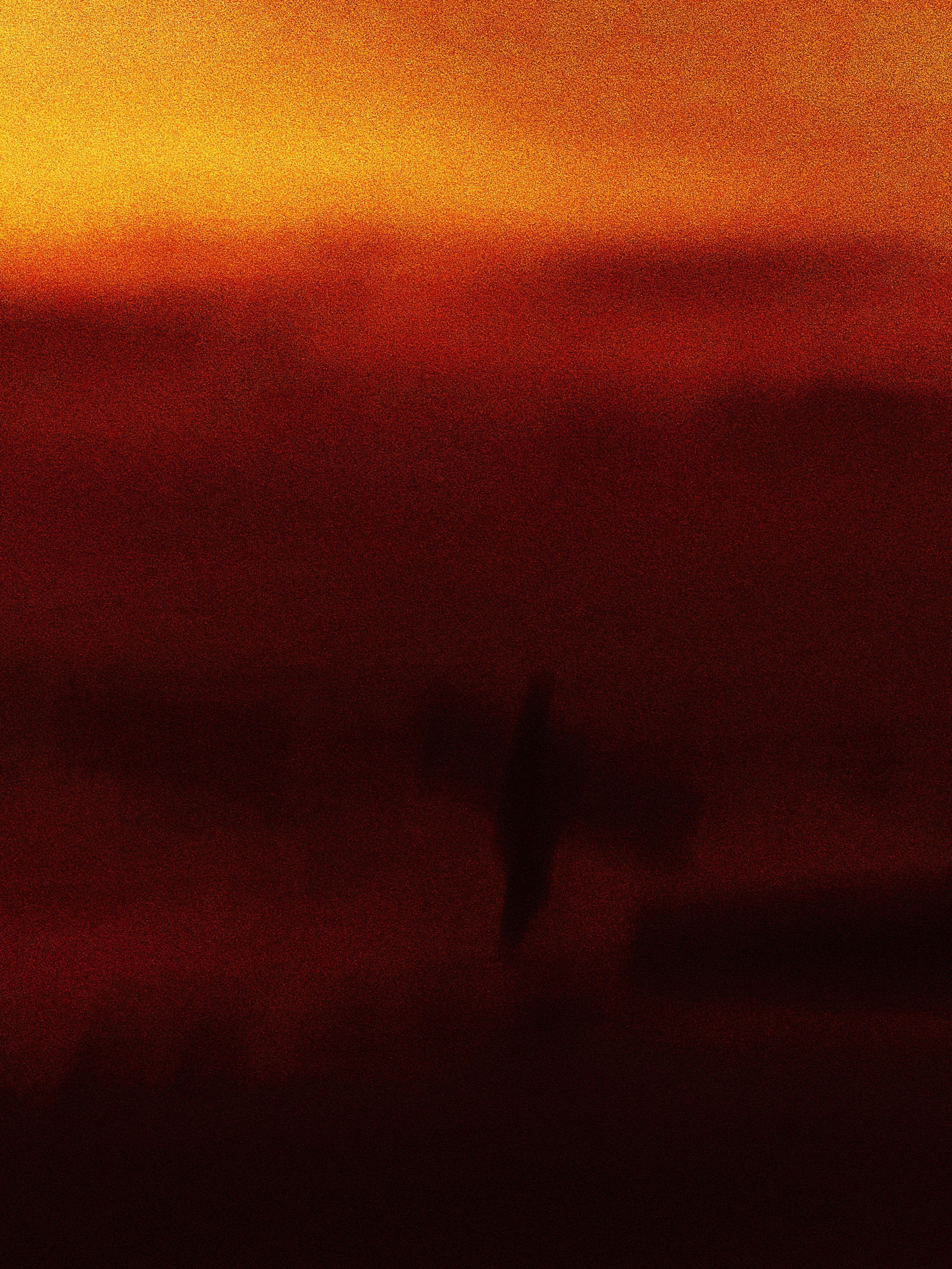 SURFING. Carolinetru