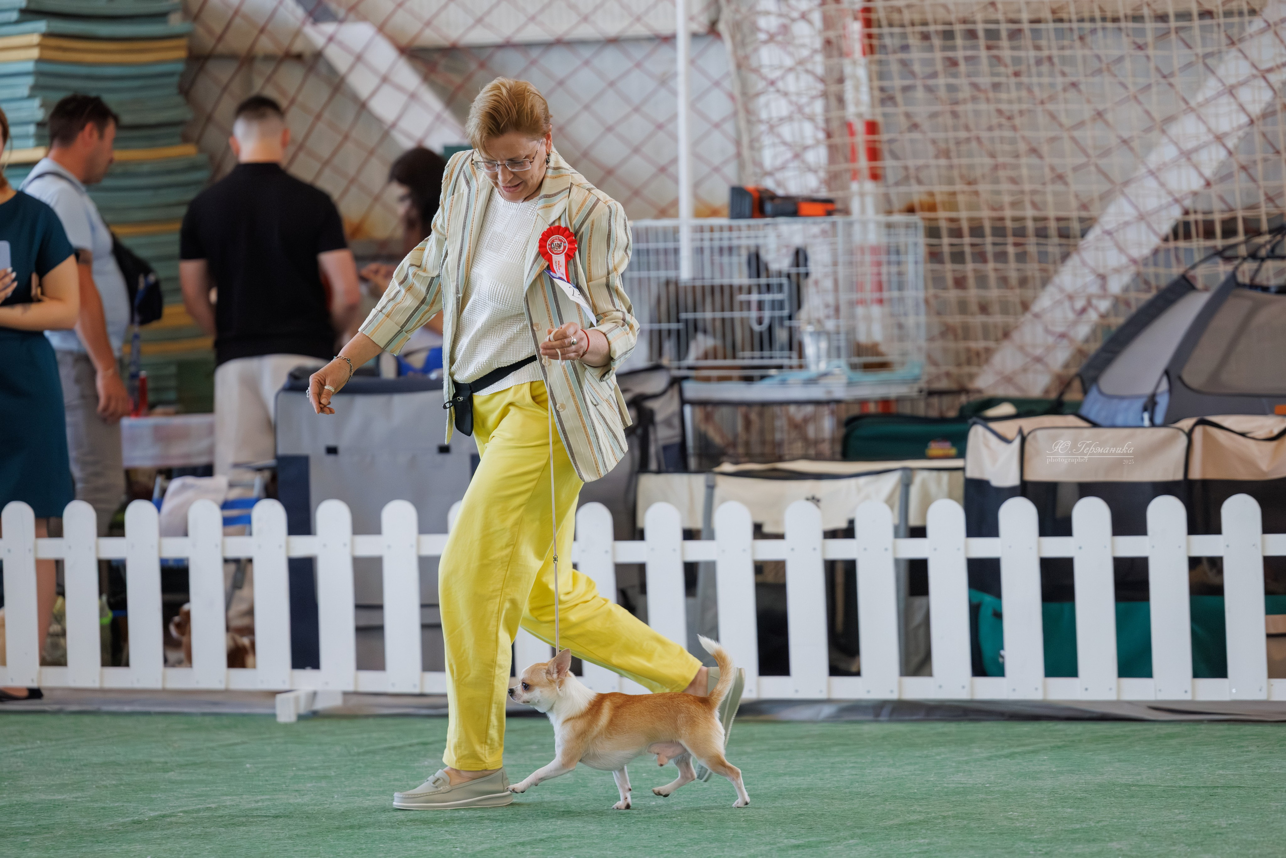 Батуми 3хCACIB 27-29.06.2025. Фотограф-анималист Юлия Германика