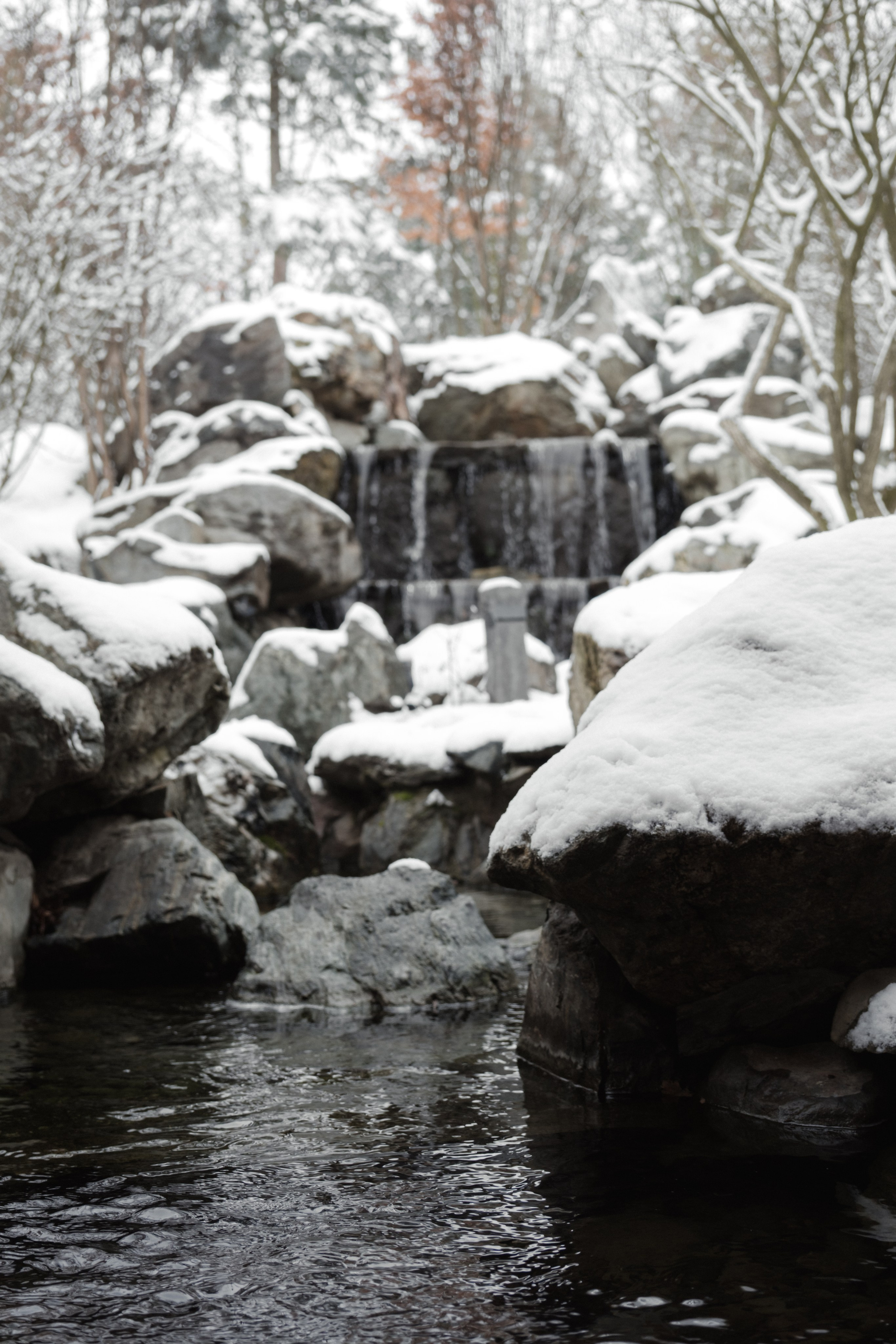 Japanese Garden in Krasnodar. Ekaterina Symidi. Interior Photographer