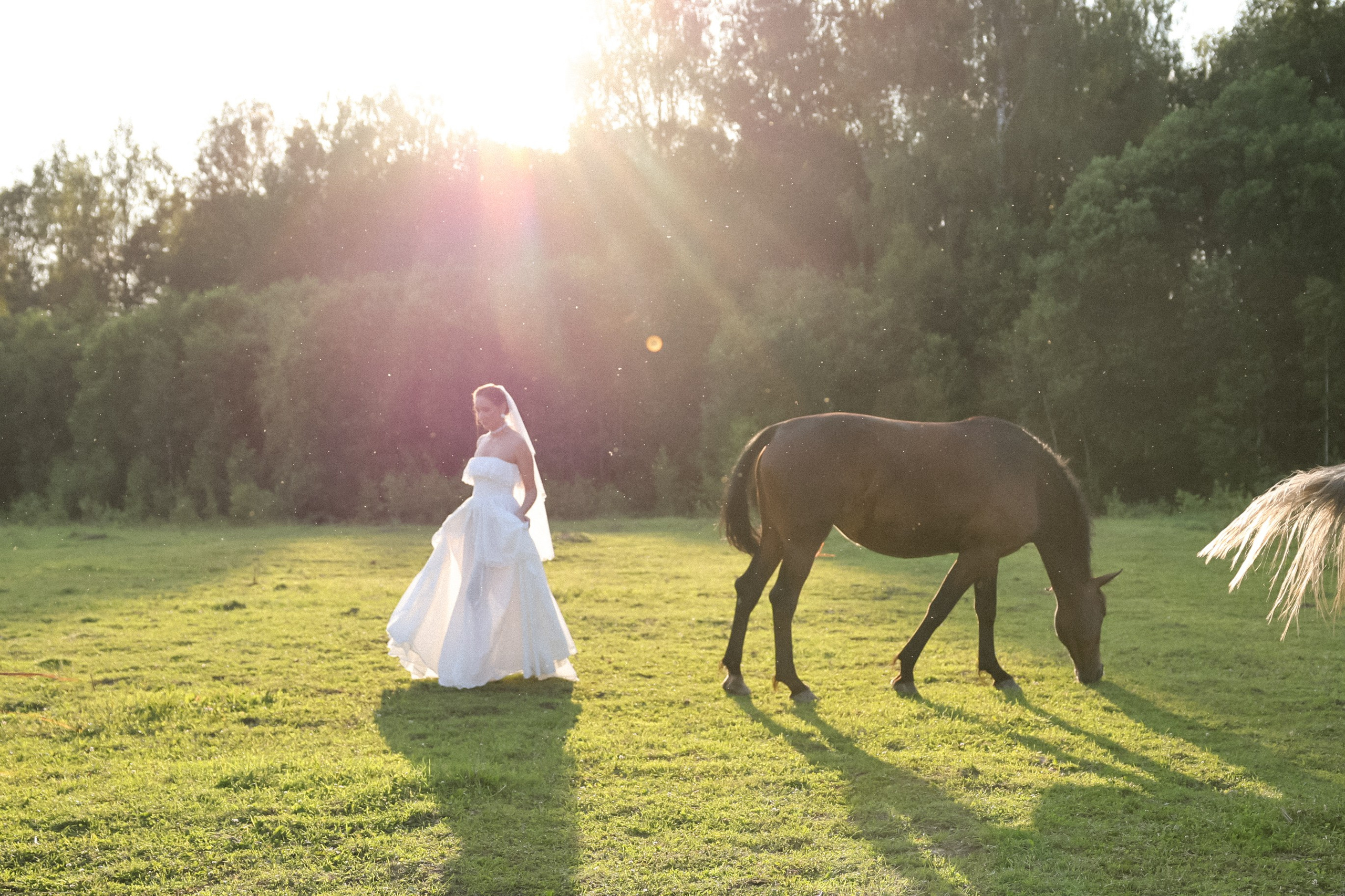 Кристафле и Олеся. Свадебный, репортажный, фотограф Москва и Московская область