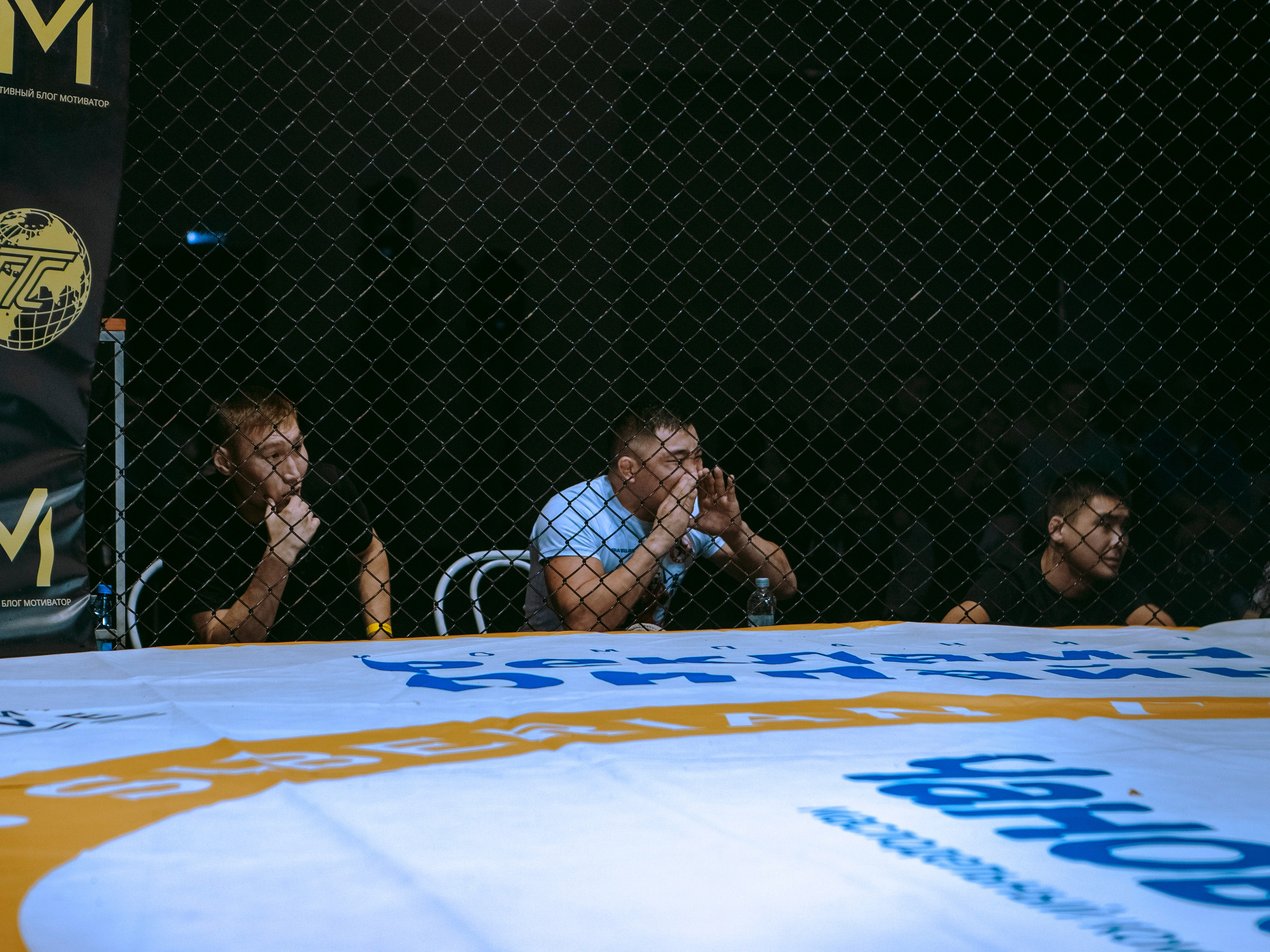 SFL 17 | Siberian Fighting League. Портретный фотограф в Москве Дарья Цезария