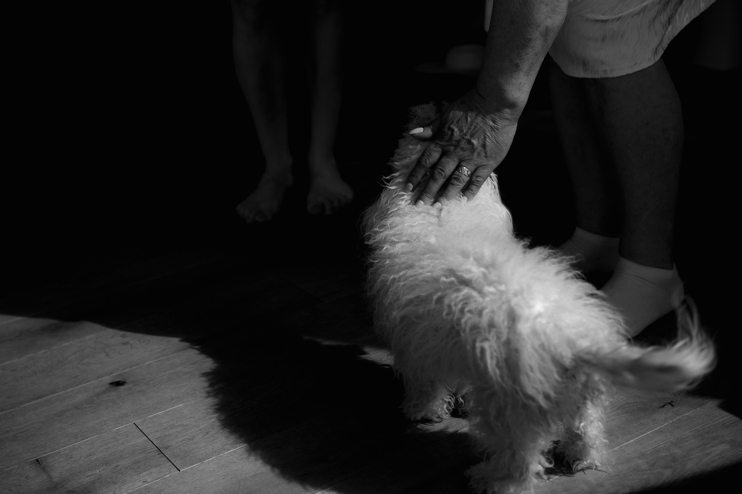 Cinema. Boneville. Сентиментальная свадебная фотография