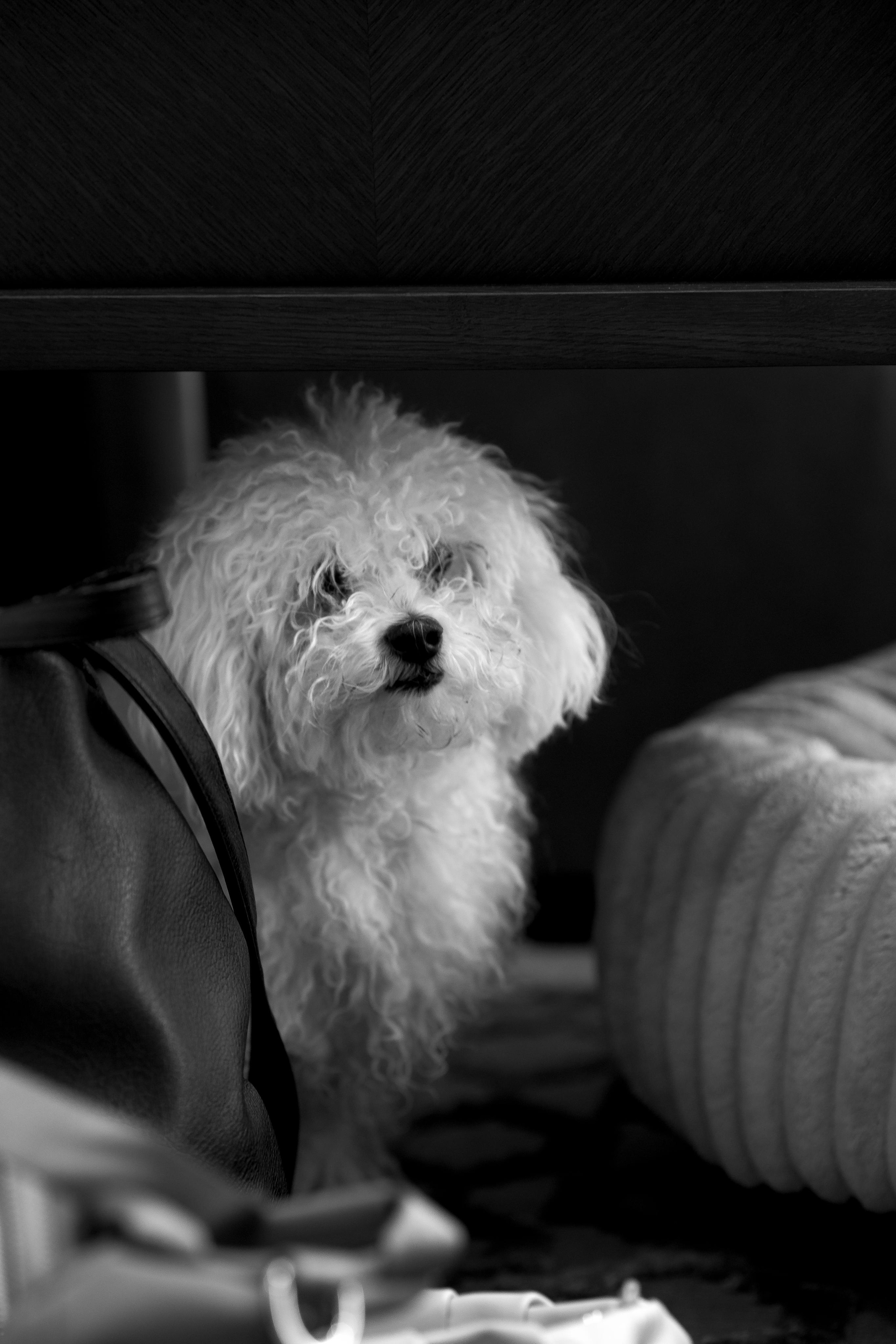 Cinema. Boneville. Сентиментальная свадебная фотография