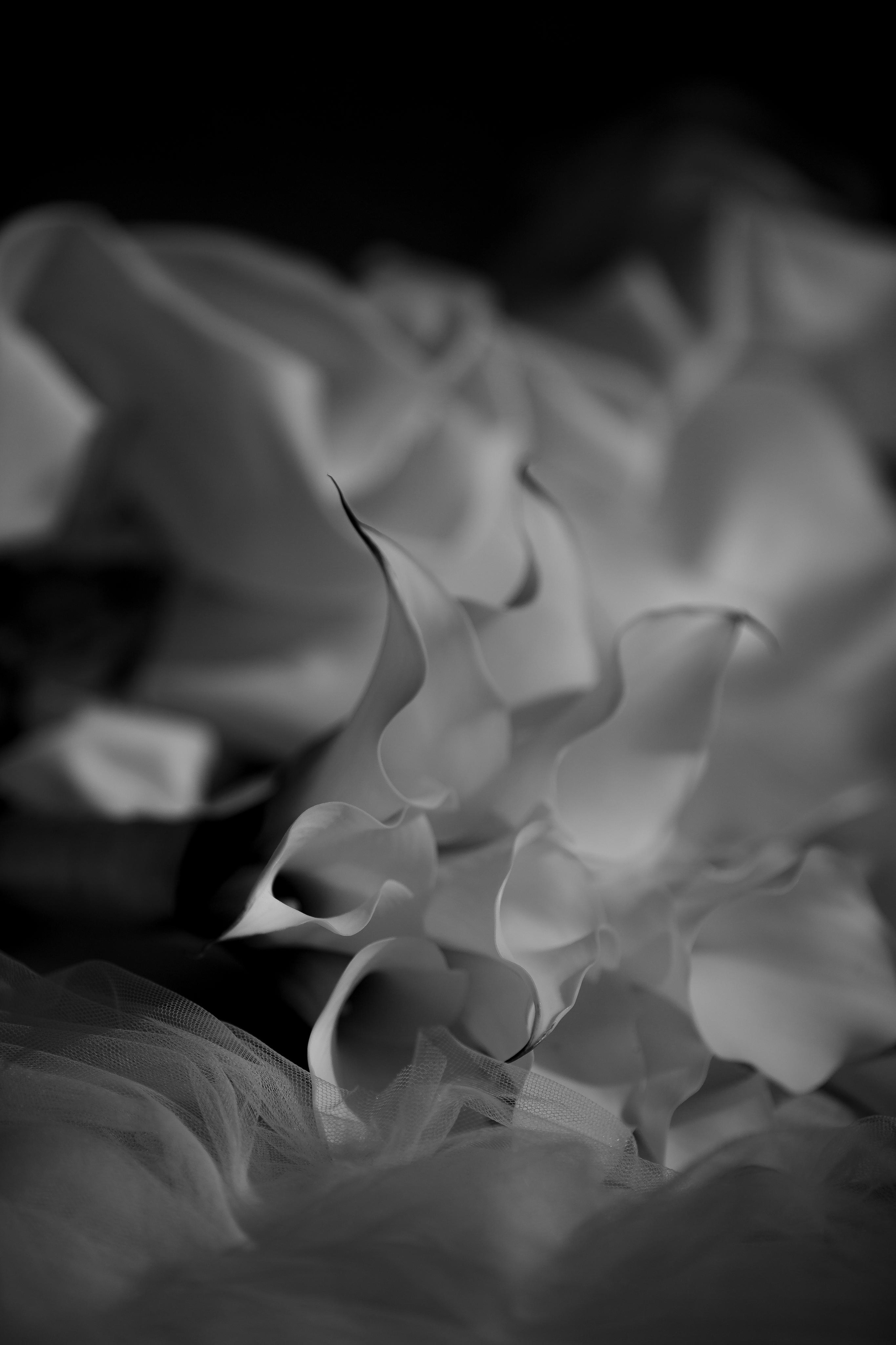 Cinema. Boneville. Сентиментальная свадебная фотография