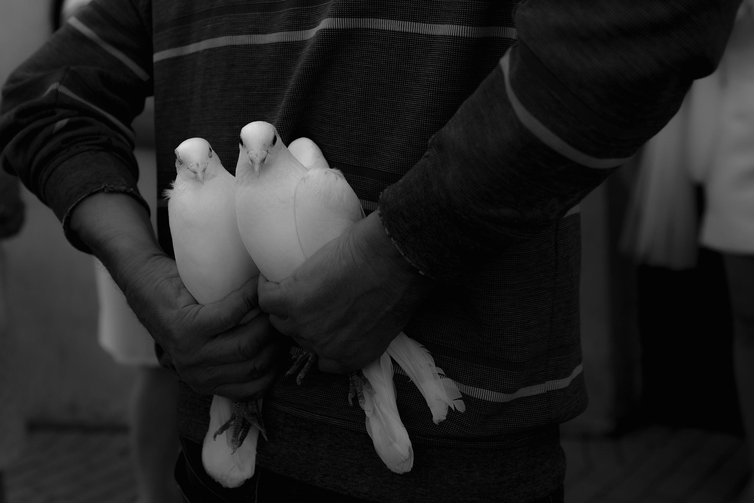 Cinema. Boneville. Сентиментальная свадебная фотография