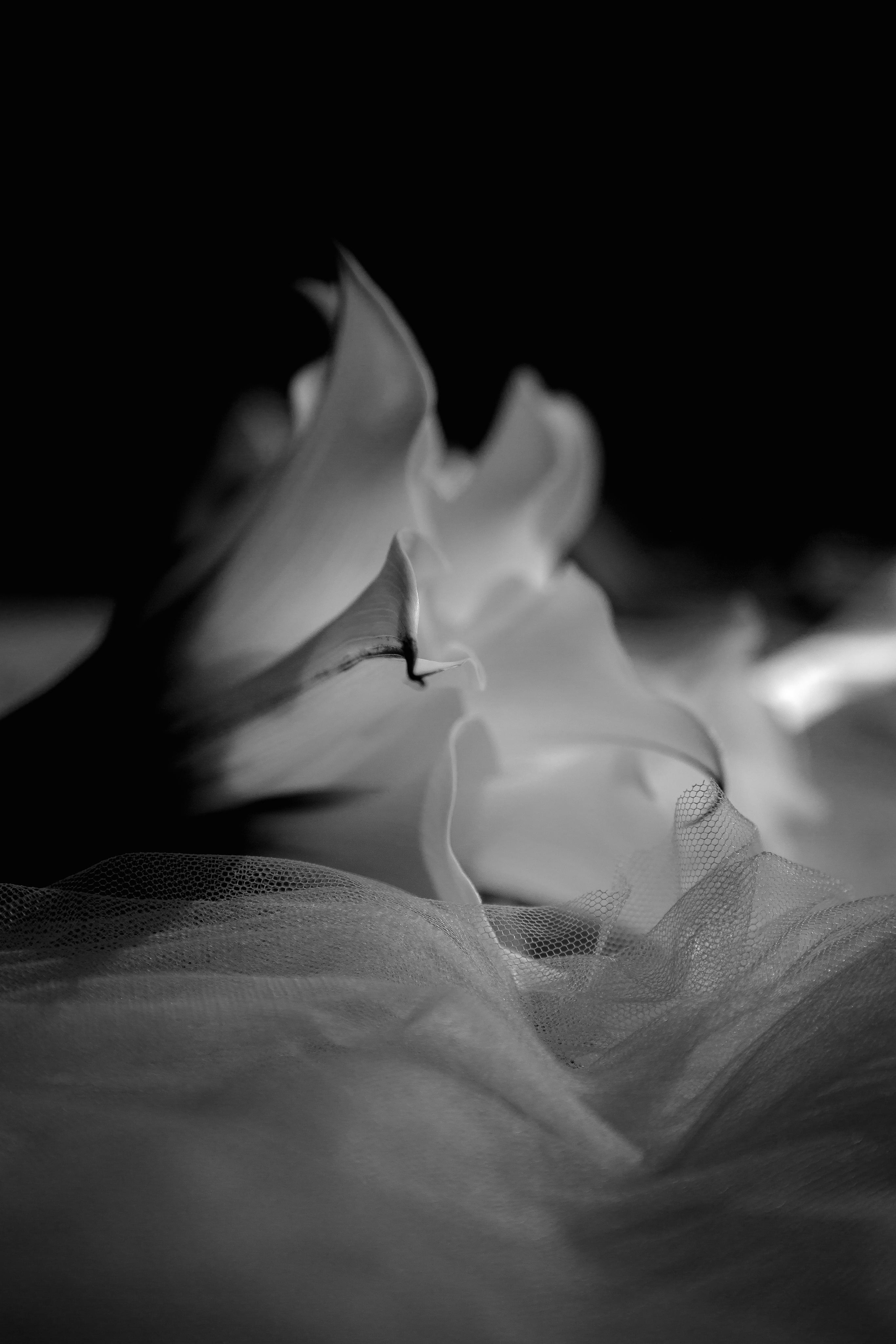 Cinema. Boneville. Сентиментальная свадебная фотография