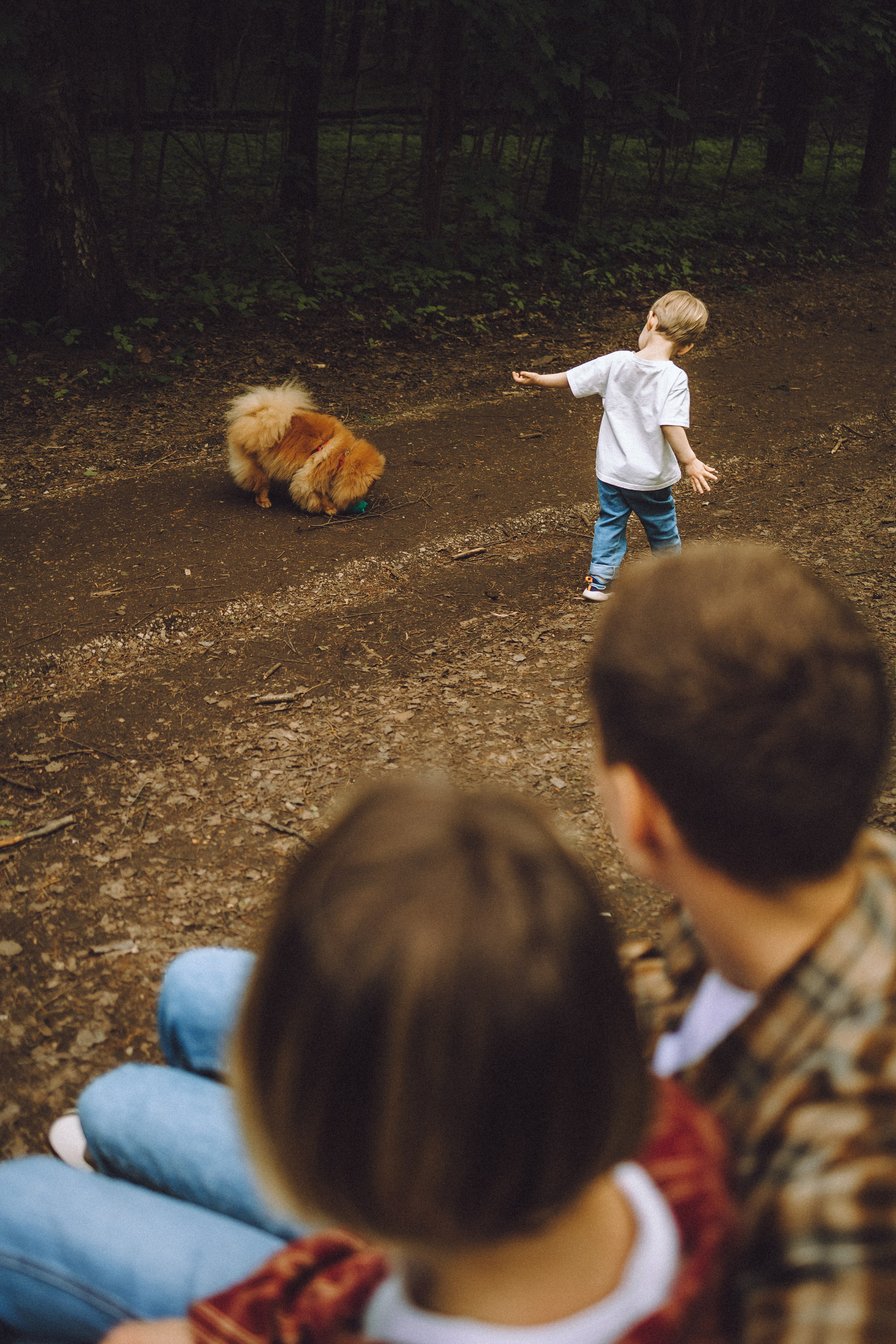 Лорик и его семья
