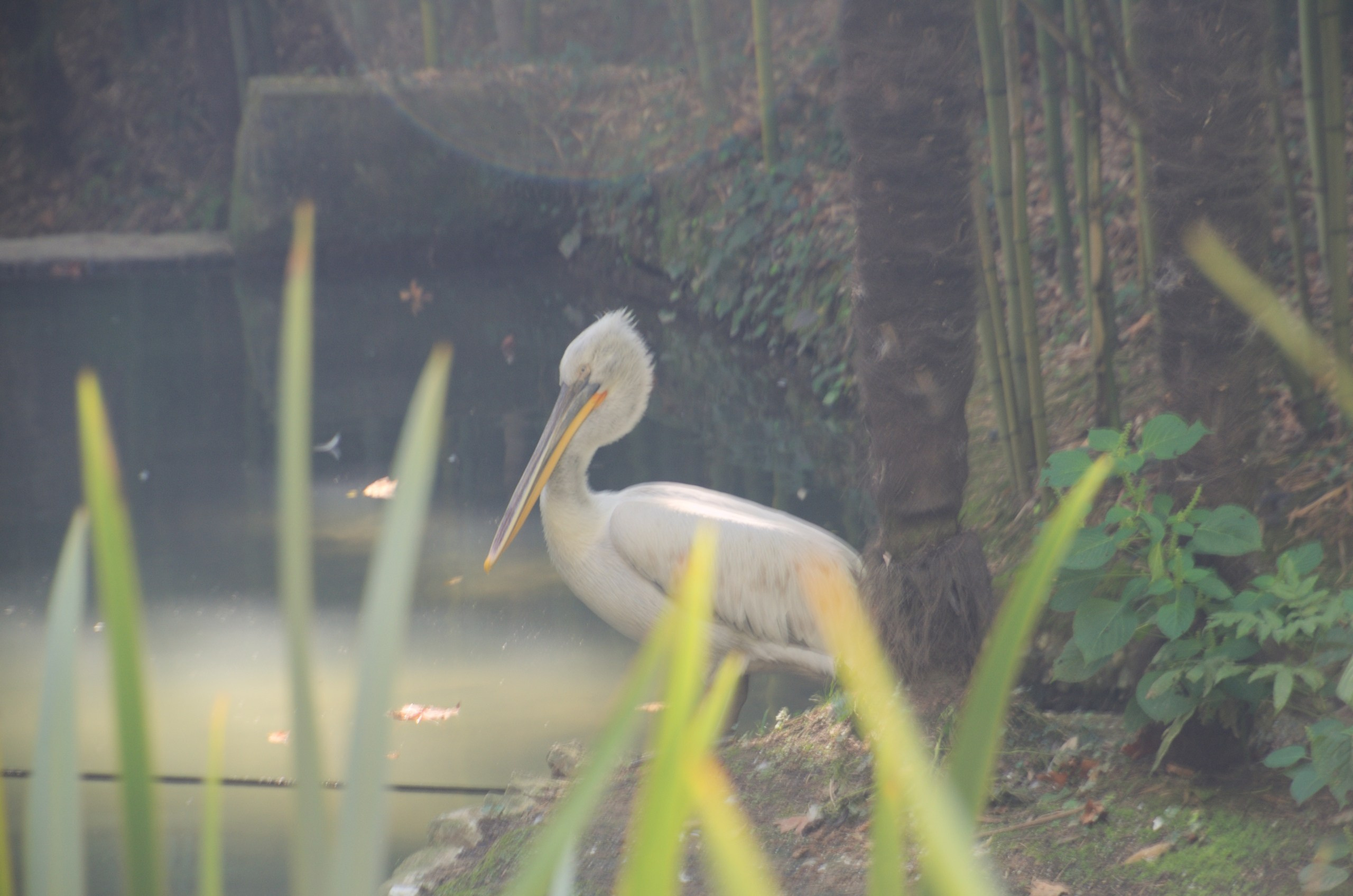 Сочи | 05-06.10.2019. Галерея Фантим