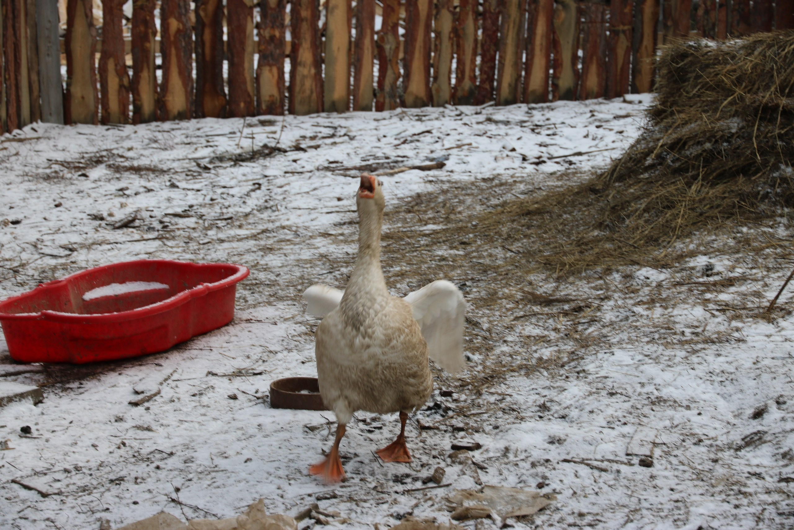 Екатеринбург | 21-23.10.2016. Галерея Фантим