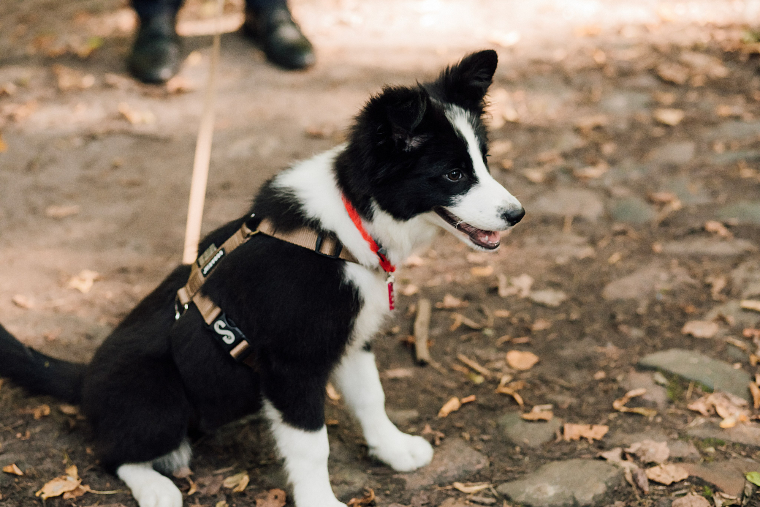 Таня и Миша. Свадьба в лофте. Свадебный и семейный фотограф в Москве Евгения Лисина