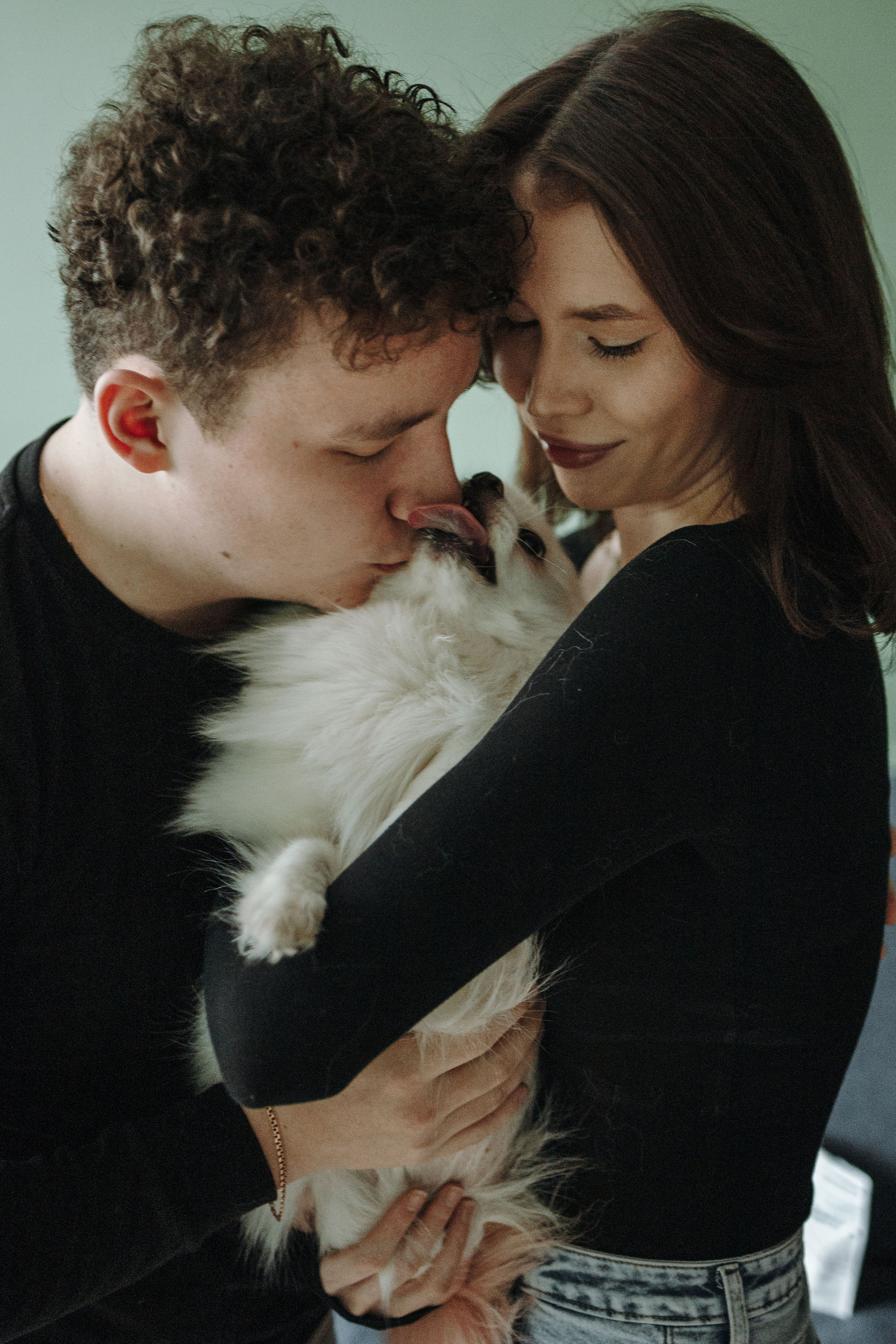 Шпиц Мася и ее семья