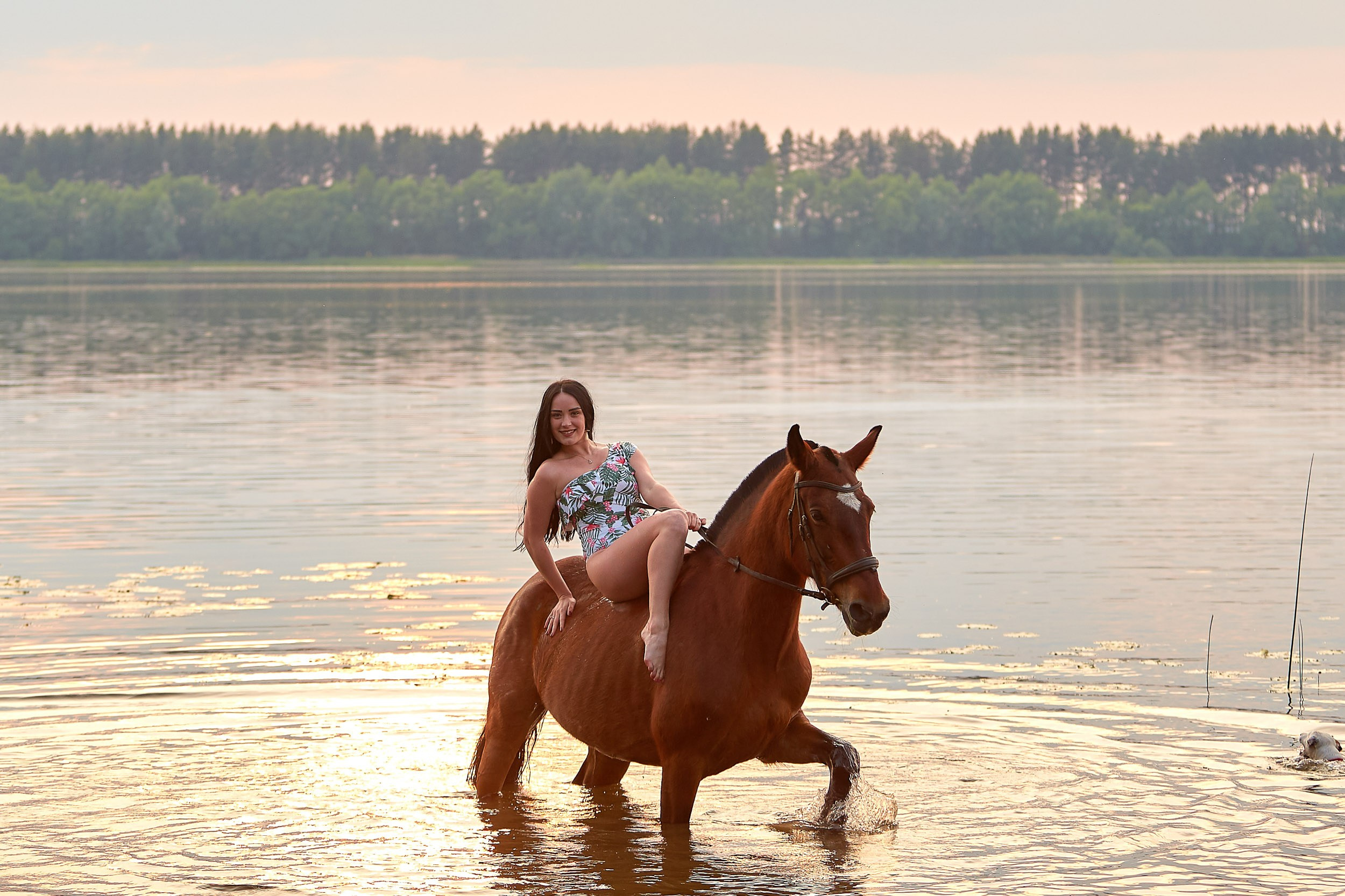 Фотосессия с лошадьми, Фотограф Михаил Семенов г. Ярославль