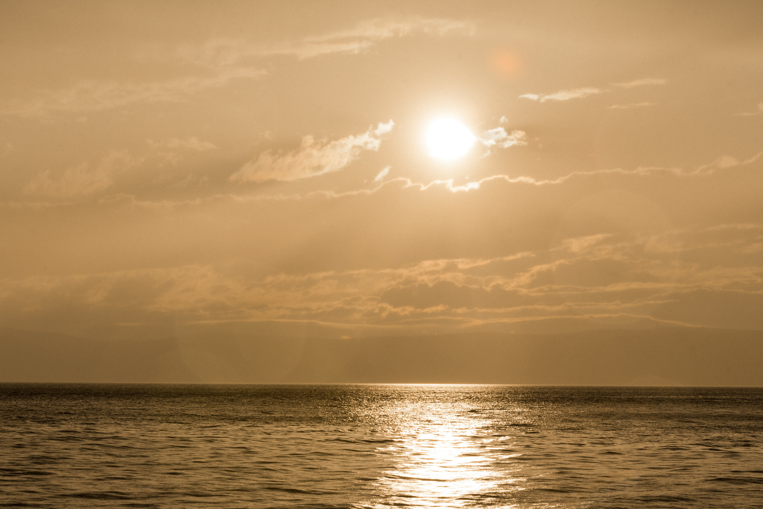 ВСМО Сибирь. Сергей Богомолов. Свадебный и семейный фотограф