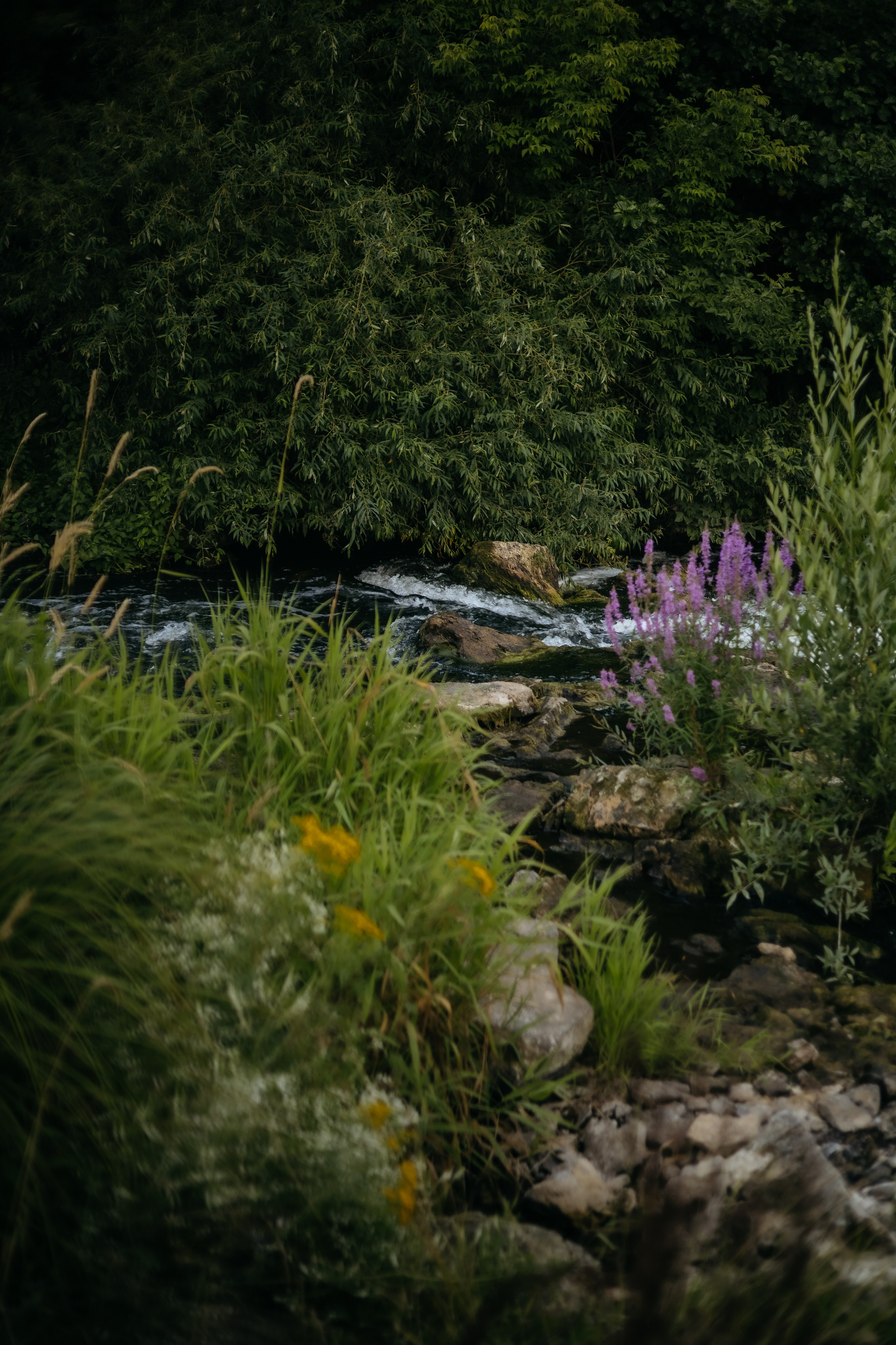 KRIS. Фотограф Элла Ефимова