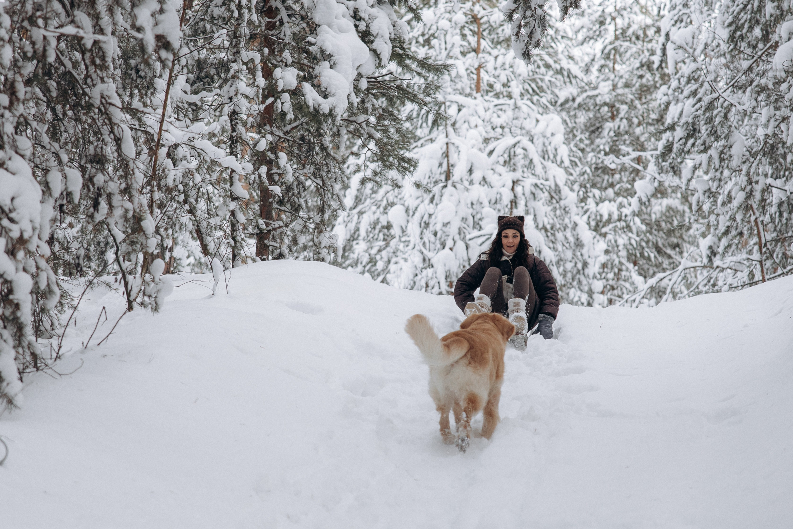 Зимняя история, Света и Чарли. Фотограф анималист в Казани Алина Сулейманова. Фотограф животных