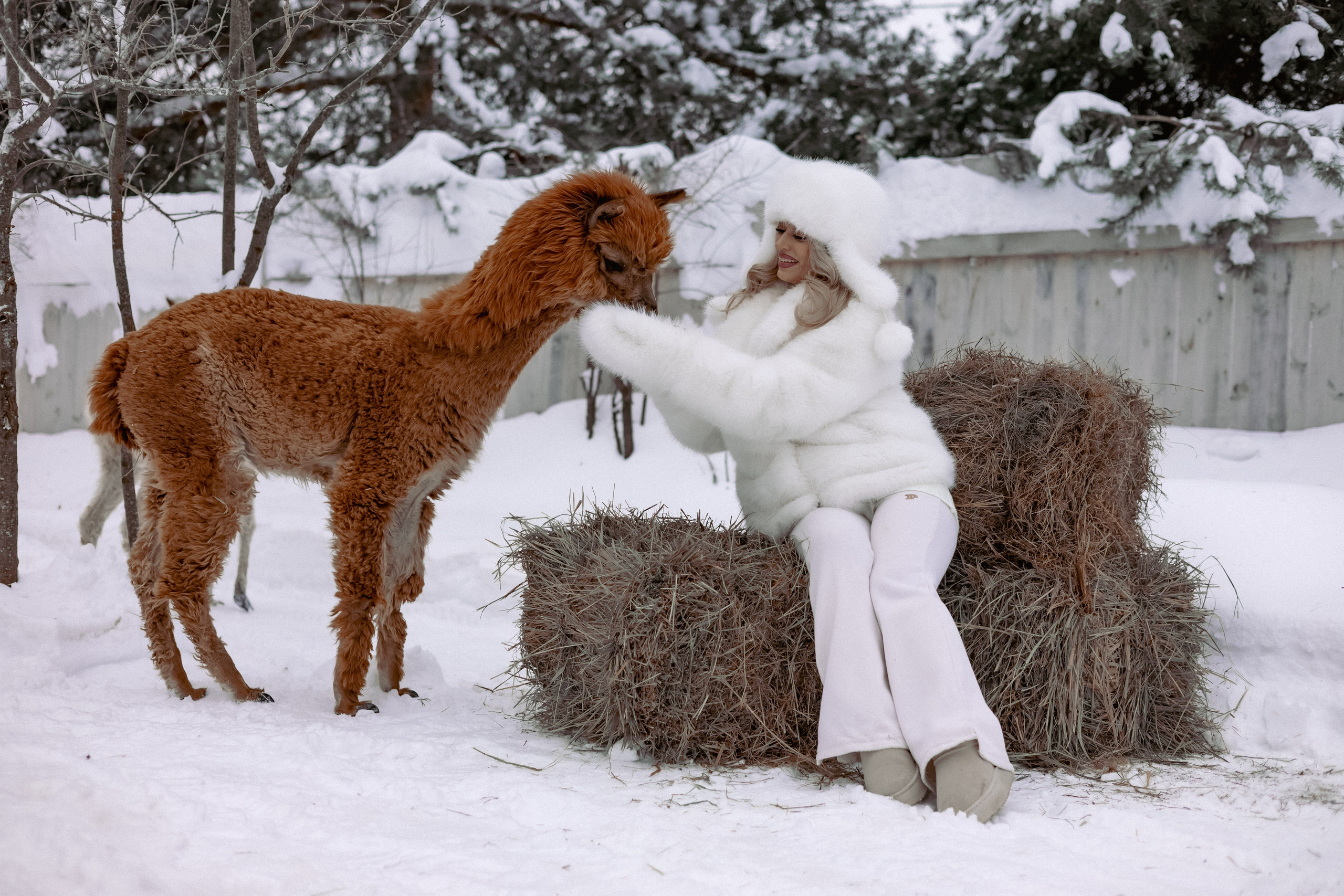 Алина. Детский и семейный фотограф Евгения Вахнеева Москва Зеленоград