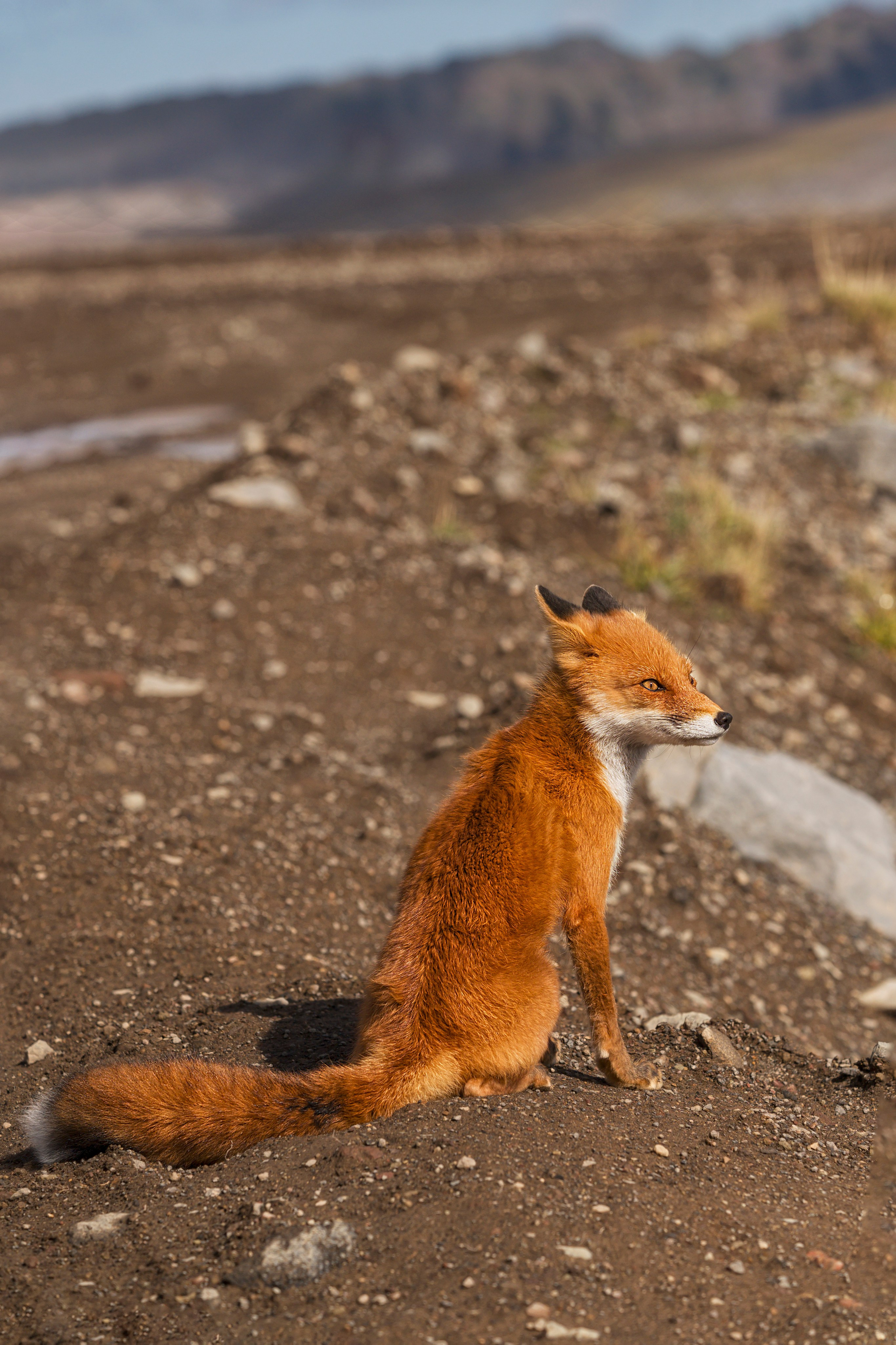 Камчатка. Портретный фотограф в Челябинске Катерина Руди