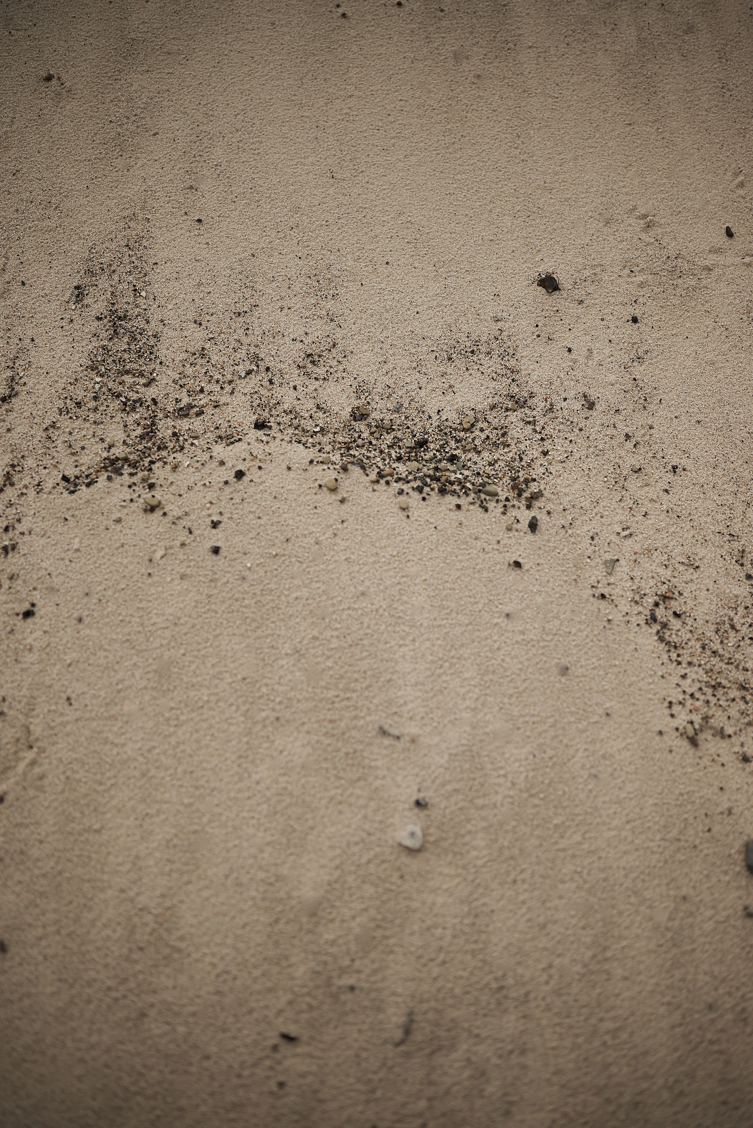 Света. Свадебный и портретный фотограф в Брянске Скепская Лилия