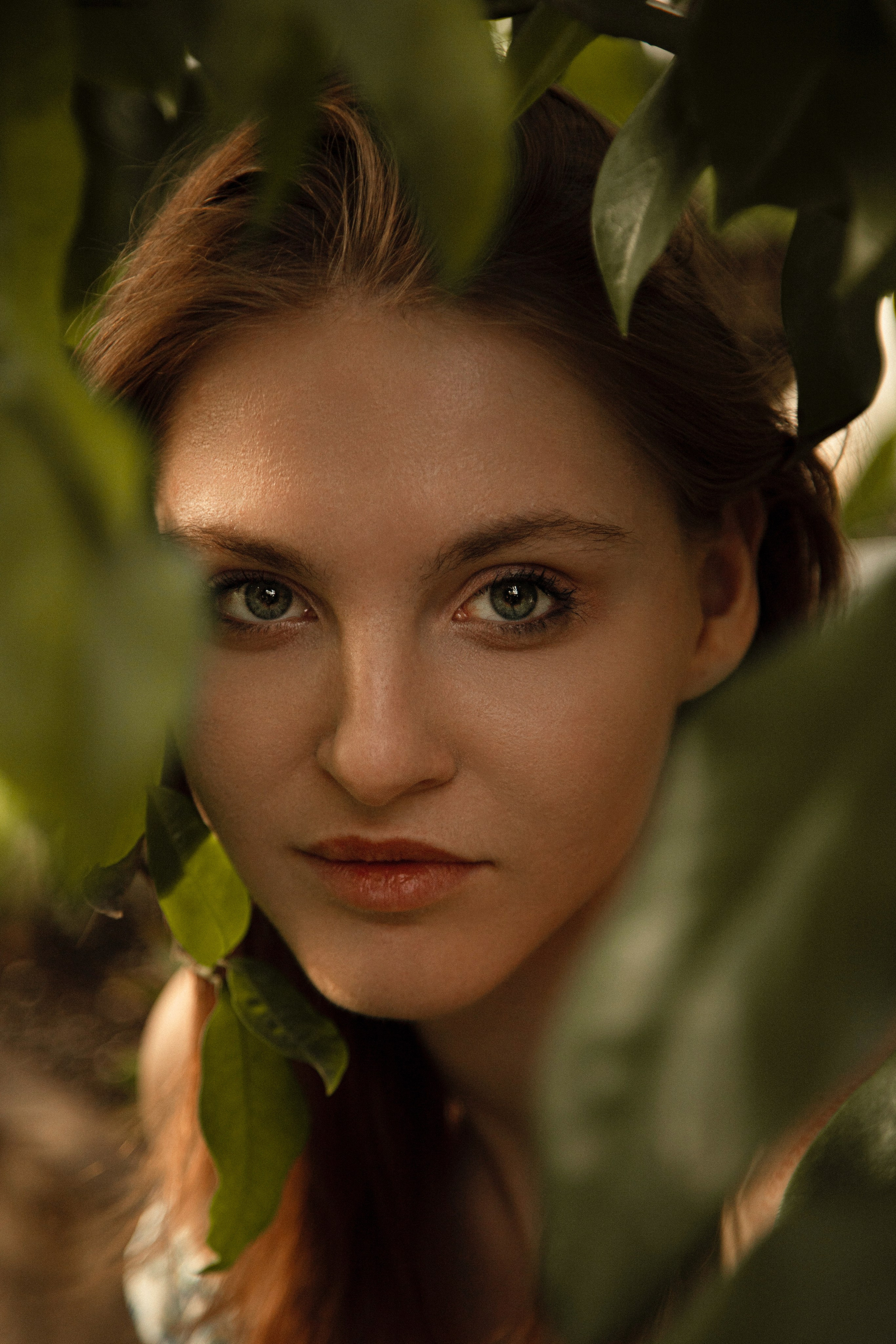 Оранжерея Таврического сада