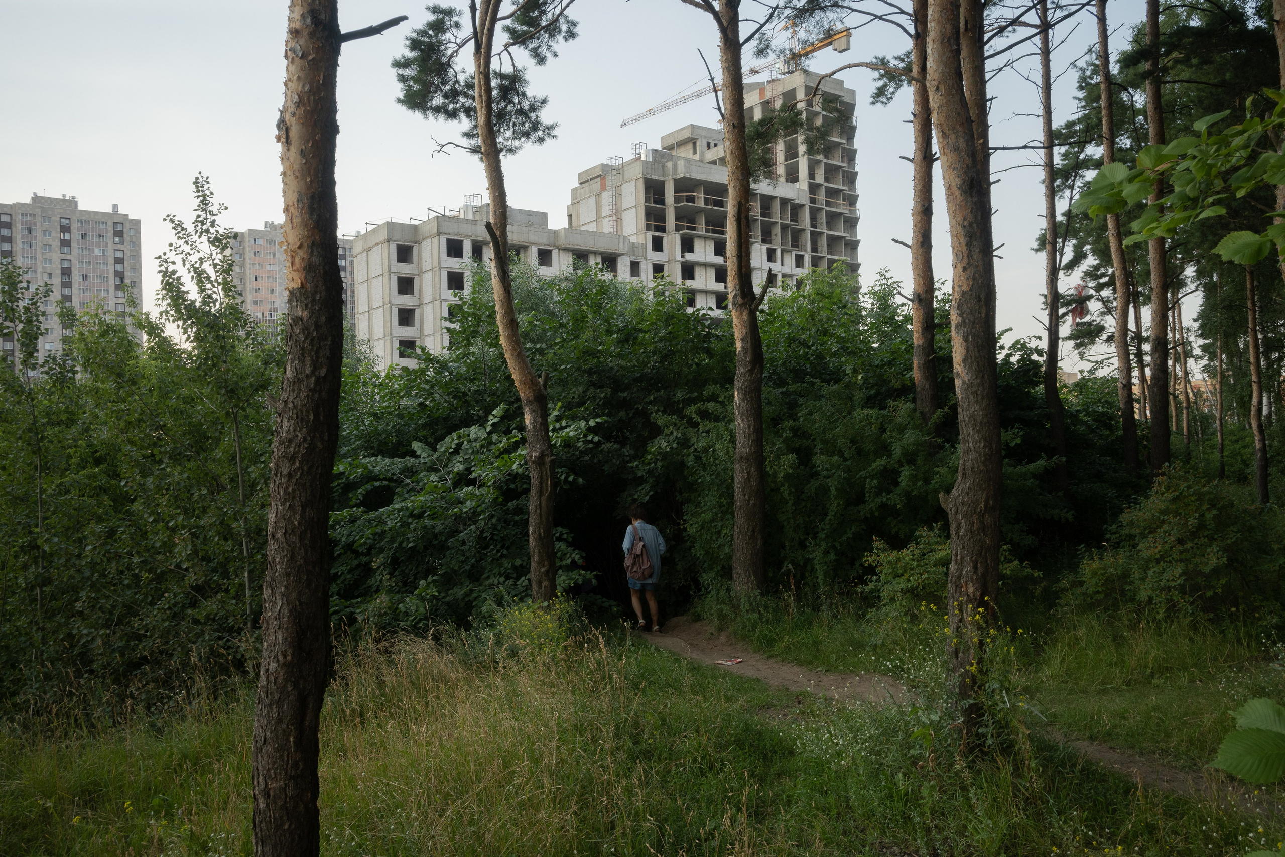 Лето на окраине. Pavel Basin