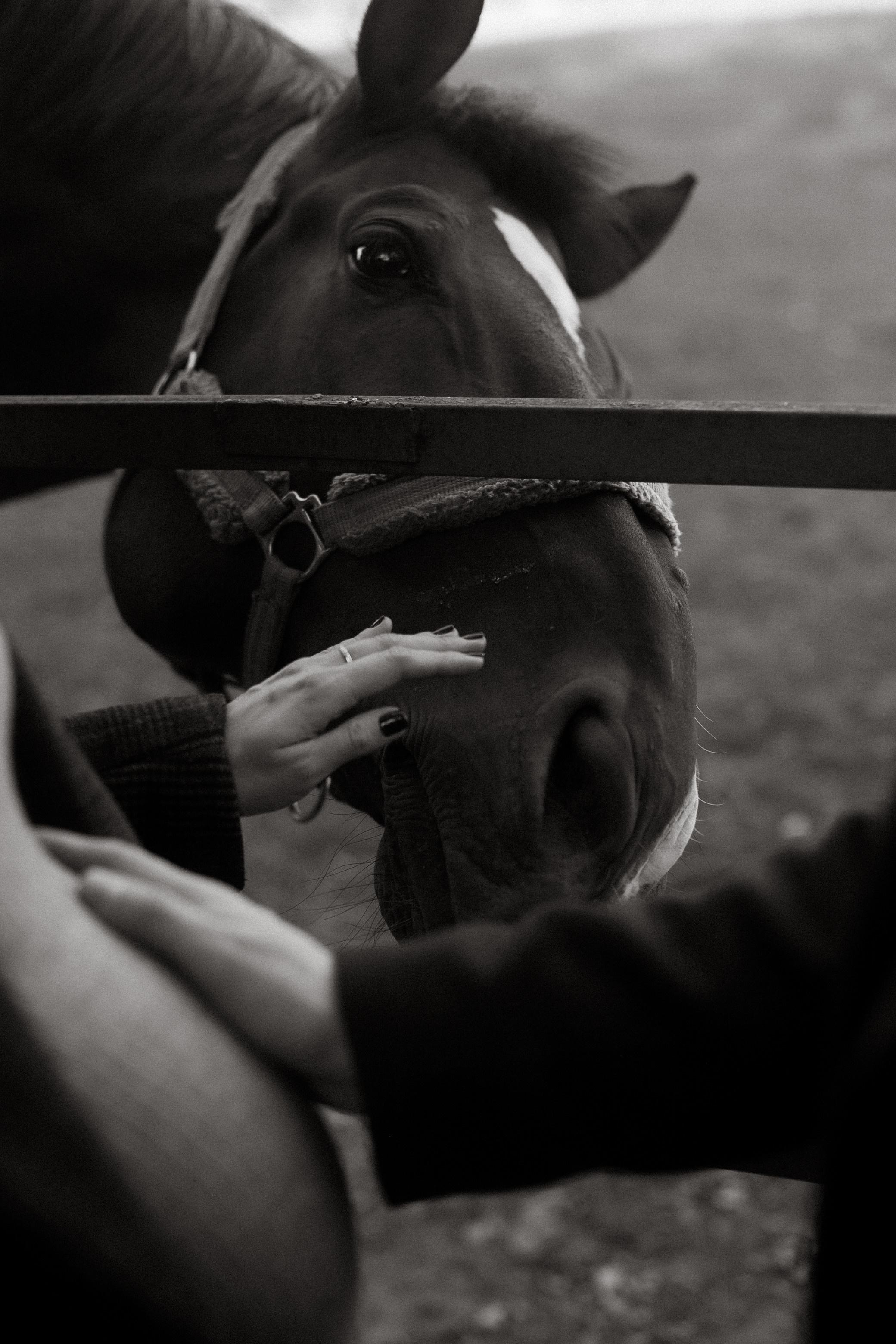Сергей + Аня. Семейный и детский фотограф Юлия Шох