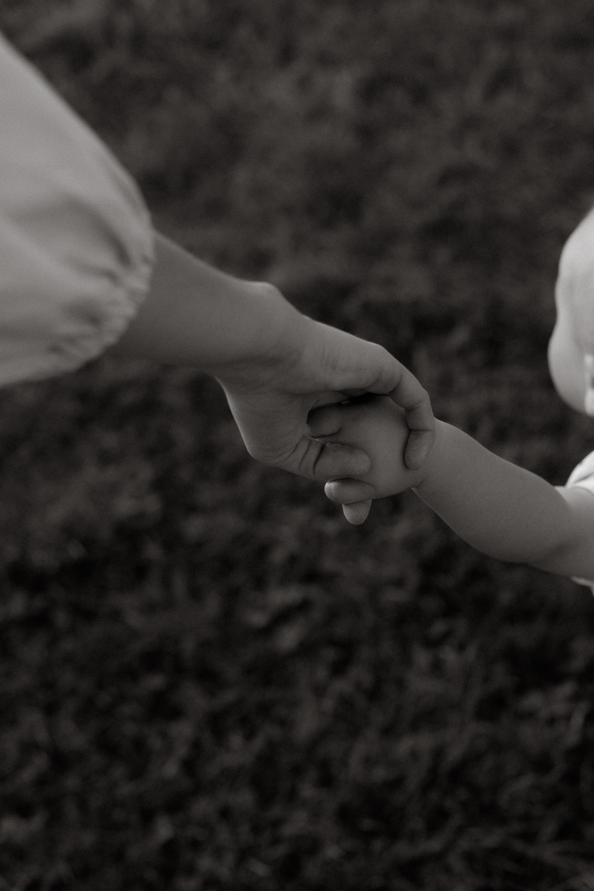 Михаил + Надежда + Федя. Семейный и детский фотограф Юлия Шох