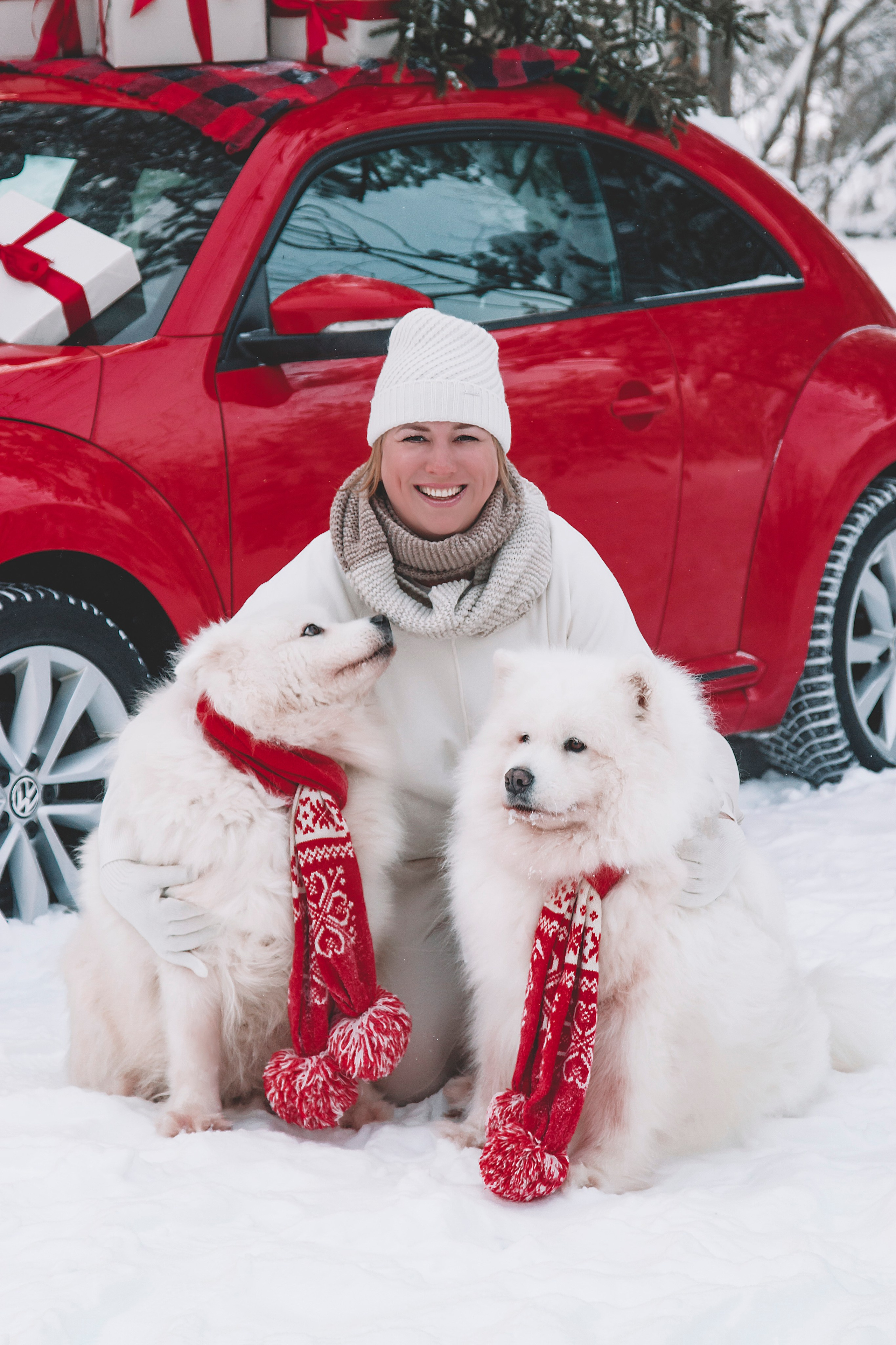 Новогодний красный жук. Фотограф Ольга Бобб Нижний Новгород