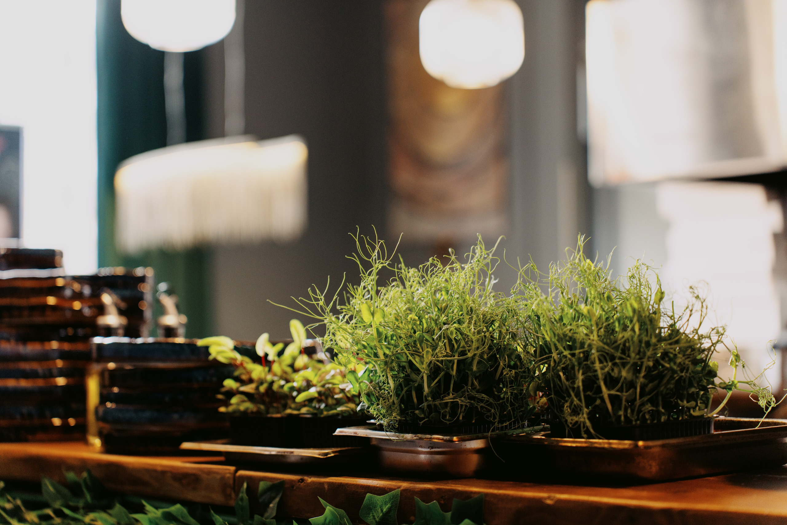 Ресторай. Интерьерный фотограф. Москва. Данил Новиков