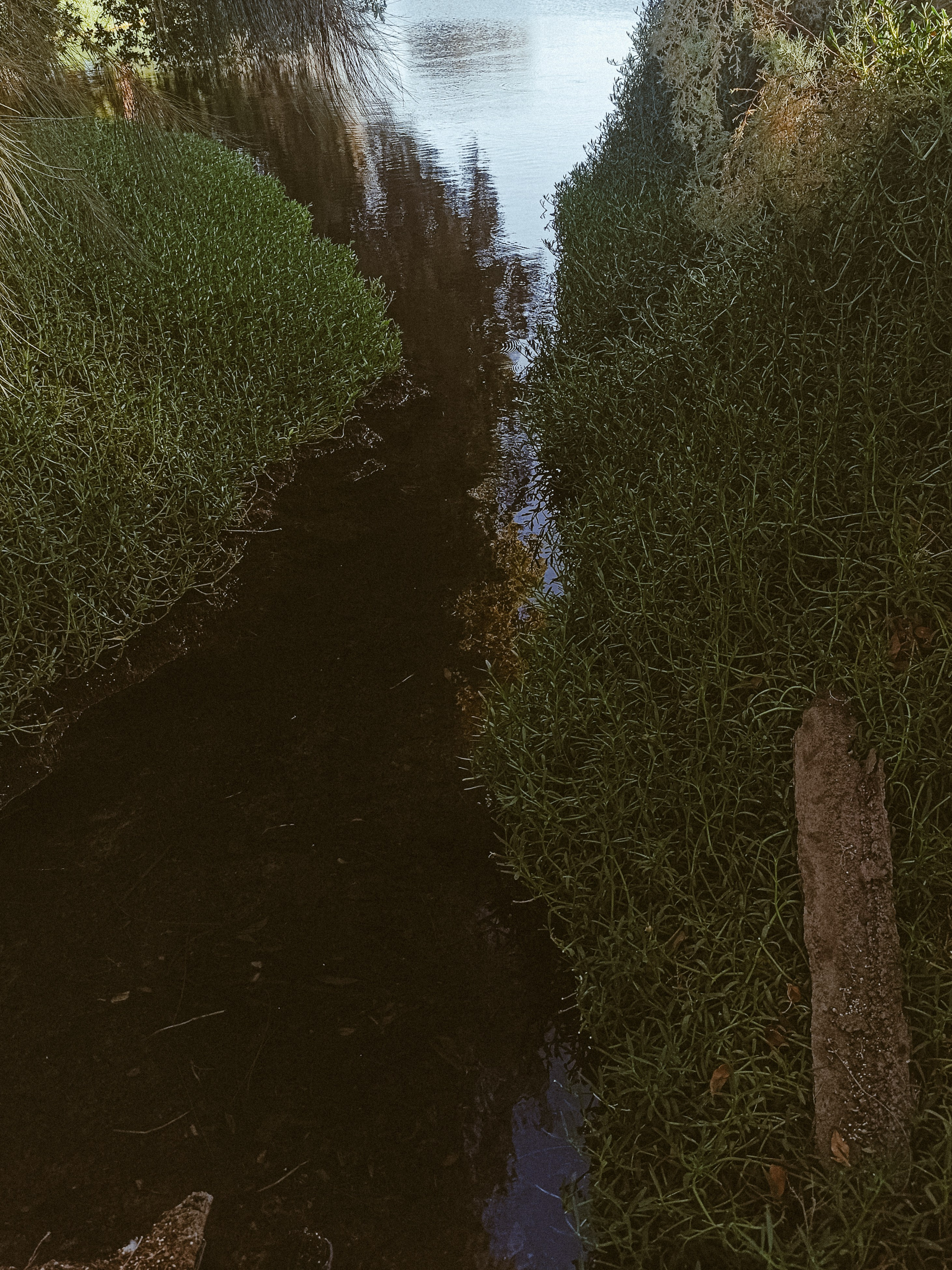 Мобильная. Jorgis — фотограф в Хургаде / обучение фотографии