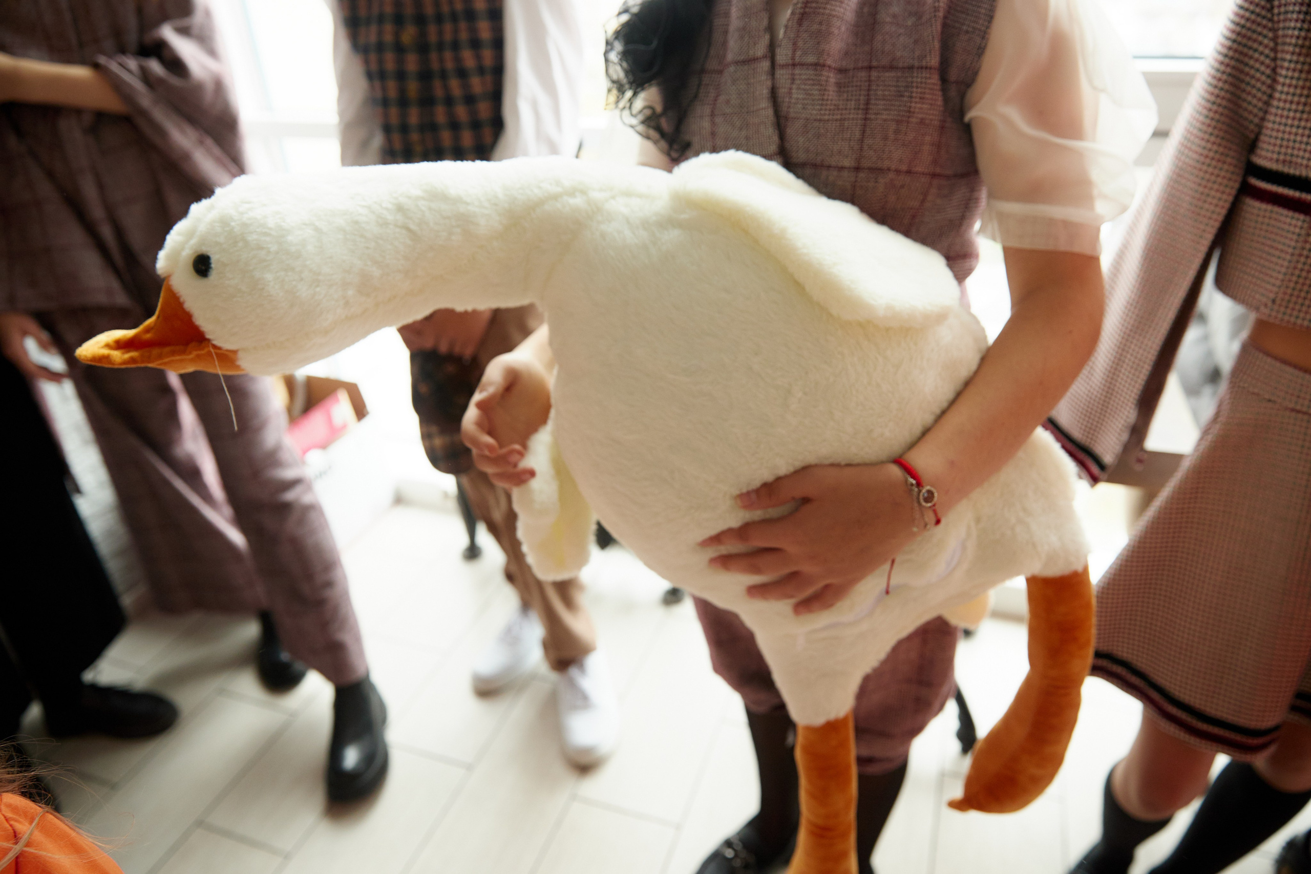 ЕГО ВЕЛИЧЕСТВО «РЕПОРТАЖ». Профессиональный фотограф Светлана Писарева