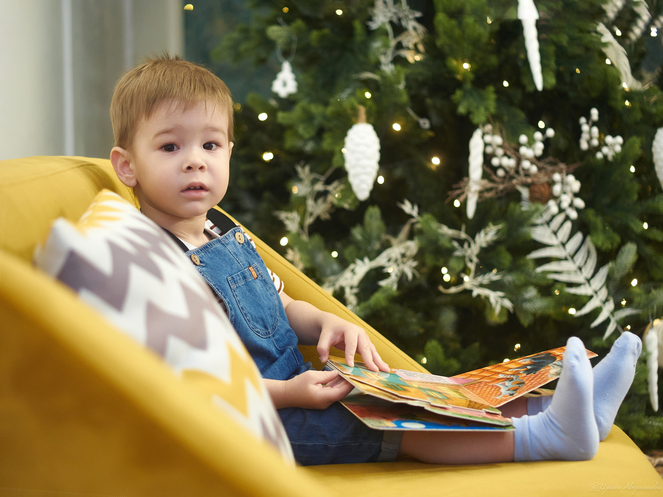 Новогодние. Фотограф в Ульяновске Ирина Аверьянова