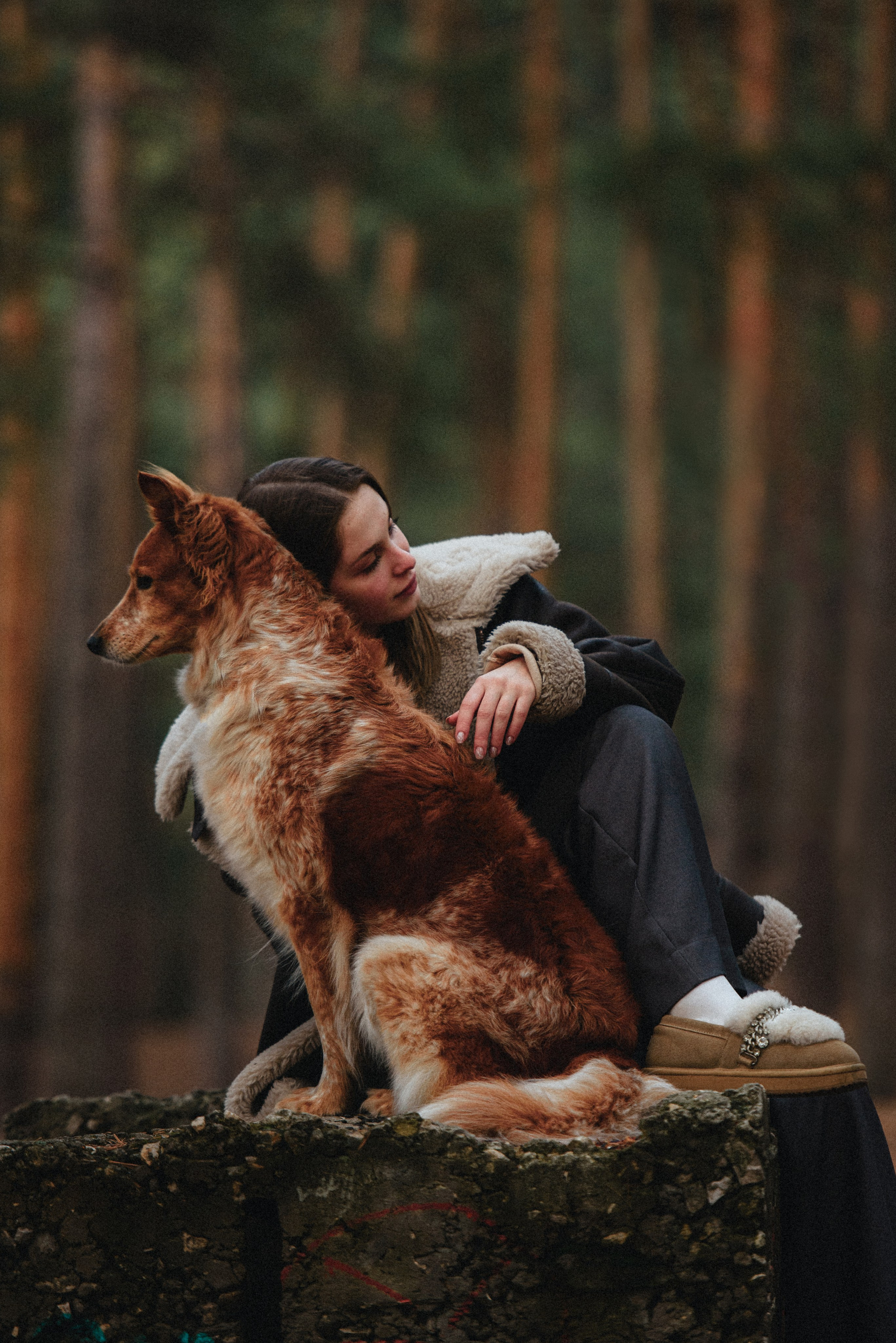 Илона и Челси. MariaGohri — Конный фотограф, анималист, Рязань